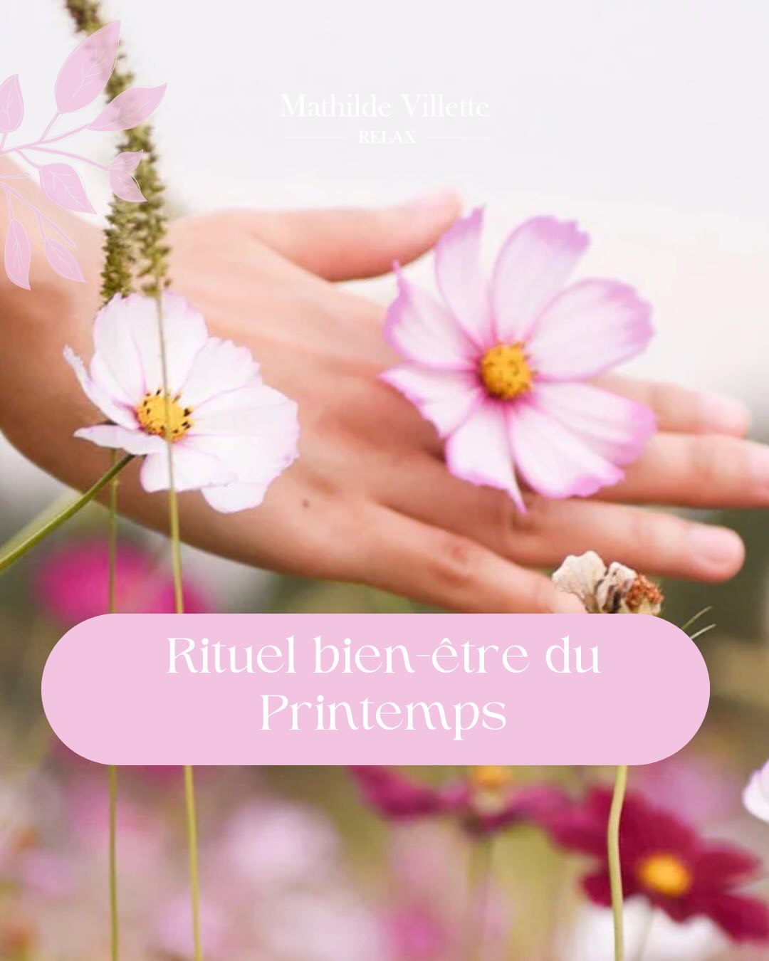🌿 Rituel bien-être du printemps 🌿
Prendre soin de soi au printemps, c’est accompagner le renouveau en douceur :
✨ respirer profondément
✨ alléger son quotidien
✨ écouter ses émotions
✨ s’accorder un massage ou un temps de relaxation
Un rituel simple, conscient et apaisant pour retrouver équilibre et sérénité 🌸
#rituelbienetre #bienetre #massagebienetre #bienetretoulouse #cabinetbienetre
