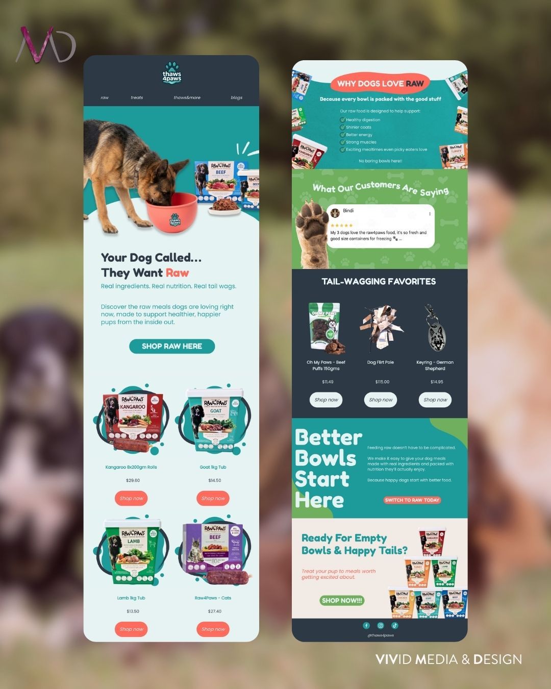 Fresh design. Fresh results. ⚡️
A closer look at the new newsletter layout we designed for thaws4paws. Clean, professional, and 100% sales-driven. 📨
Looking for high-end design that speaks to your audience? Check us out at www.vividmediadesign.au�
#VividMediaDesign #NewsletterDesign #EmailMarketing #CreativeStudio #SocialMediaManagement #DesignThatConnects #DigitalDesign #VisualStorytelling #CreativeInspo #ContentDesign #ModernDesign #WebsiteGoals