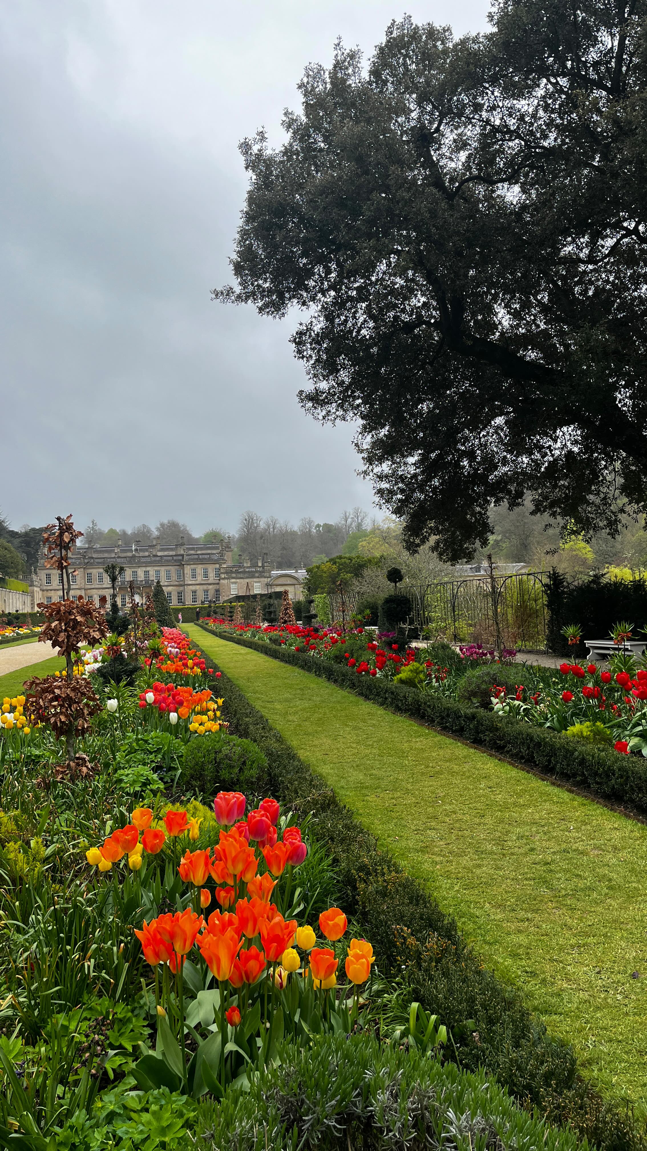 A wonderful visit to @ntdyrhampark to see the stunning house and gardens awash with tulips! Head inside to see the historic house and check out the art exhibition featuring local artists @katebatesart @anniemeierart @bloemen_and_blue @kathyhuttonprints @clairehoughtontextiles @charlotte.englefield.art @clareduguidart #bath #daysoutwiththefamily #tulipmania