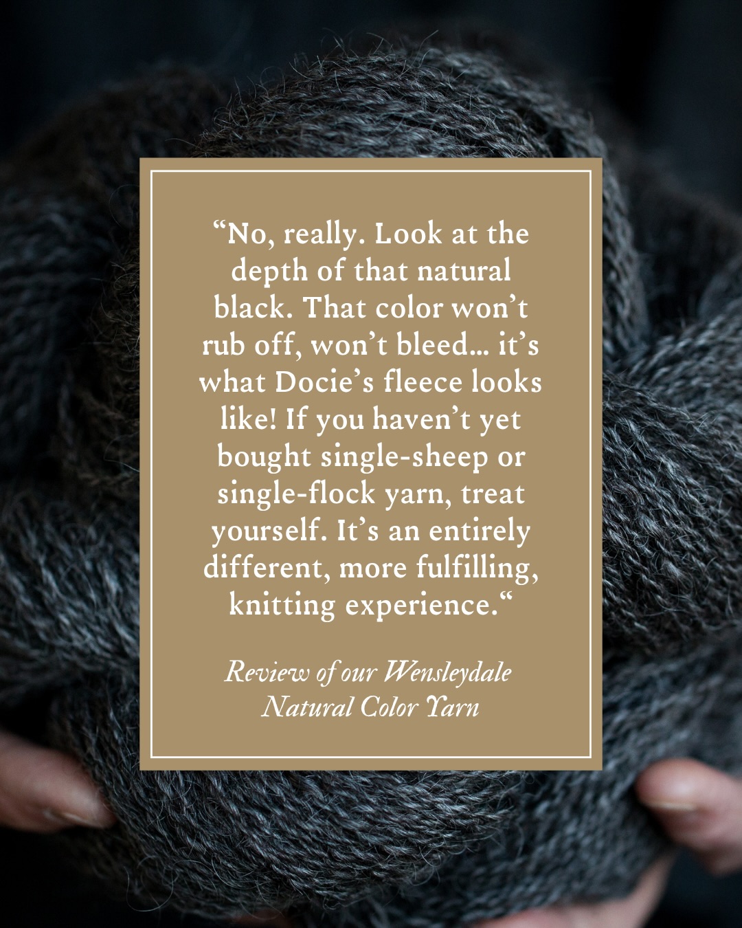 The lustrous, natural color of Wensleydale wool is something that can’t be replicated through dyes🐏✨
#naturalcolor #yarn #sheepswool #wensleydale #undyed