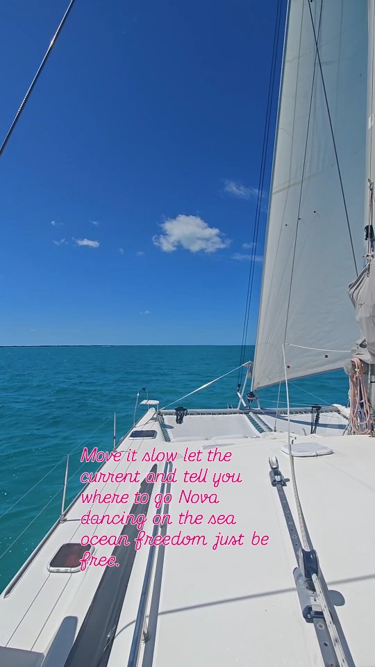 When the wind calls β we answer. β΅οΈβ¨
Today we're sailing. No plan, just open water, warm wind, and the Exumas doing what they do best.
Sails
Sun on the water.
Freedom in every direction.
This is what it feels like to just go.
#ParadiseKiteCruise #SailLife #Exumas #Bahamas CatLife SailingLife WindCalling IslandFreedom BlueWaterSailing
