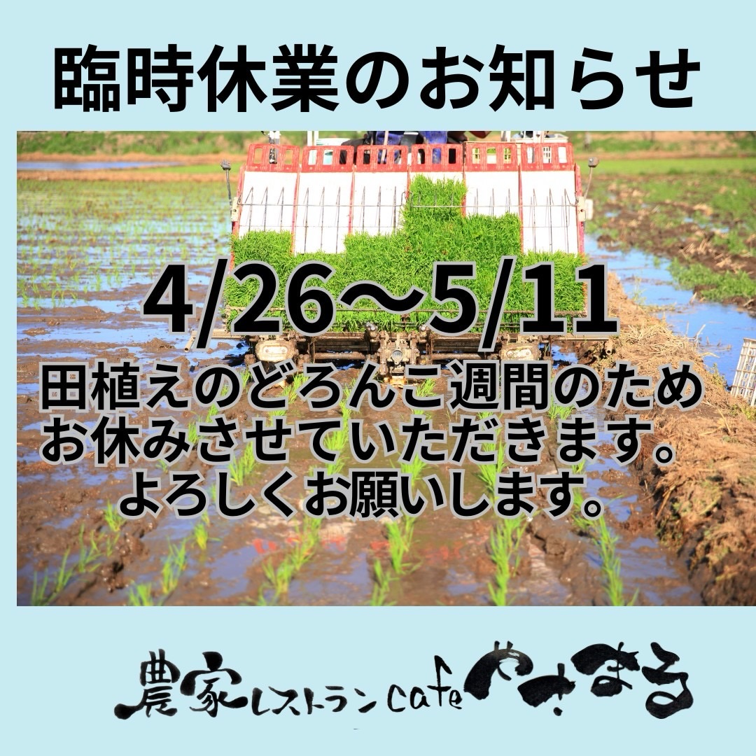 26~5/11までは、田植え休暇をいただきます。
5/12から平常通り営業します