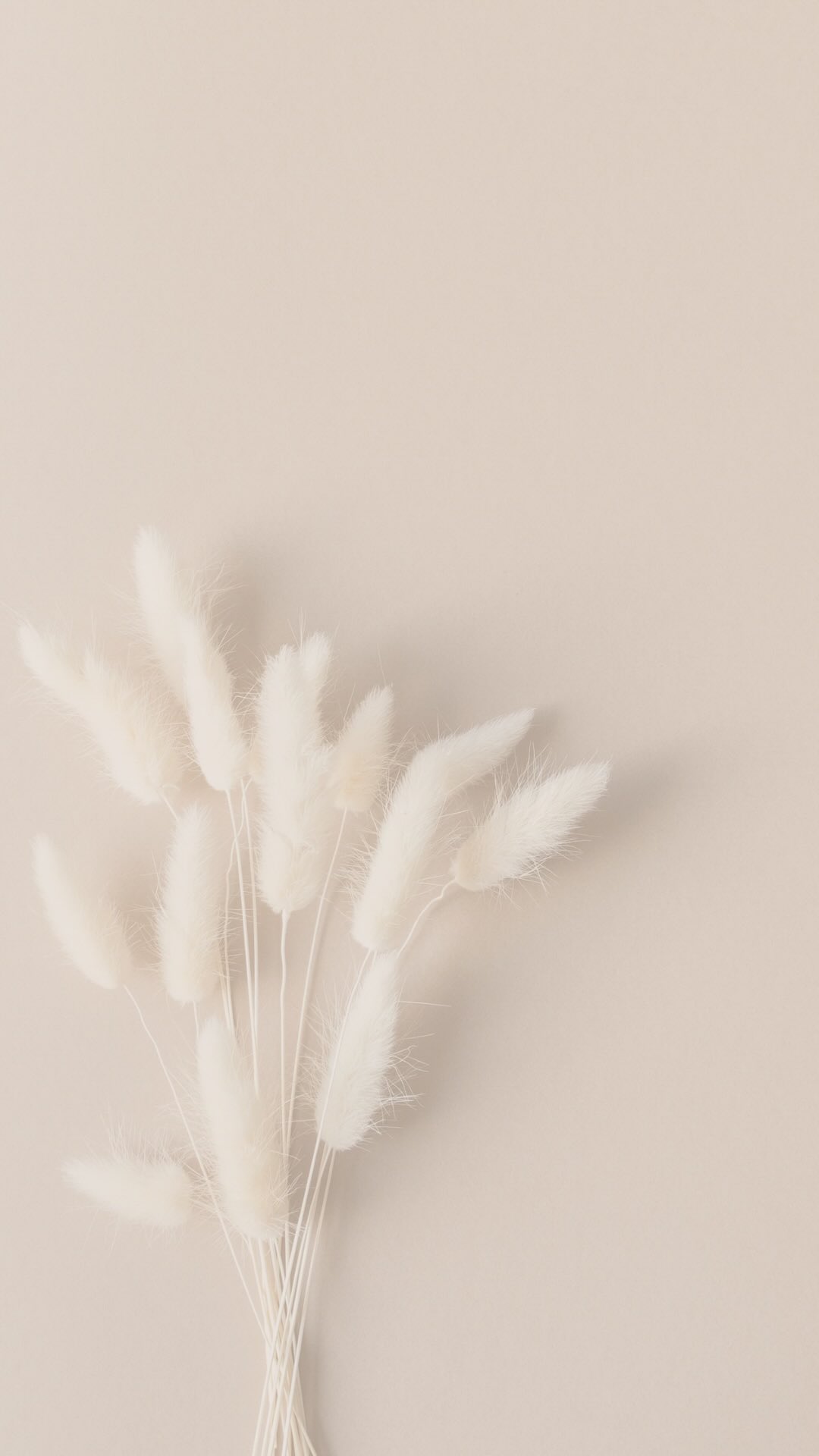 Verklebte Faszien speichern Spannung, Stress und alte Emotionen.
Wenn sie sich lösen, passiert mehr als nur körperliche Entlastung.
Dein Körper wird leichter.
Deine Energie beginnt wieder zu fließen.
Du fühlst dich klarer, ruhiger und mehr bei dir.
Loslassen im Körper bedeutet Freiheit im Inneren.
Spürst du diese Blockaden?
Dann ist es Zeit, sie zu lösen. Schreib mir „ENERGIE“ 💫
#lipödem #madero #lymph #lymphödem #lymph