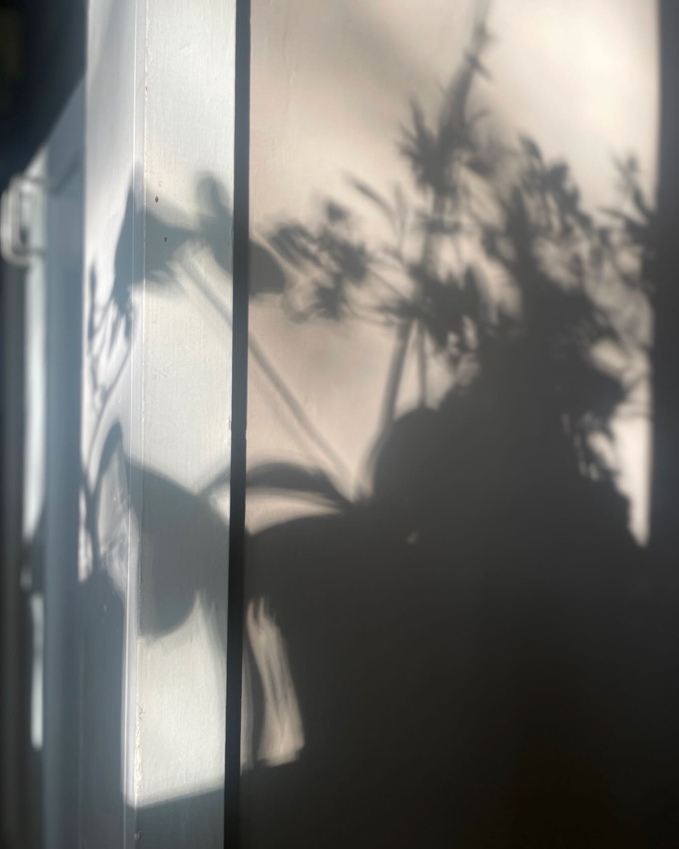 #morninglight #studiolightandspace