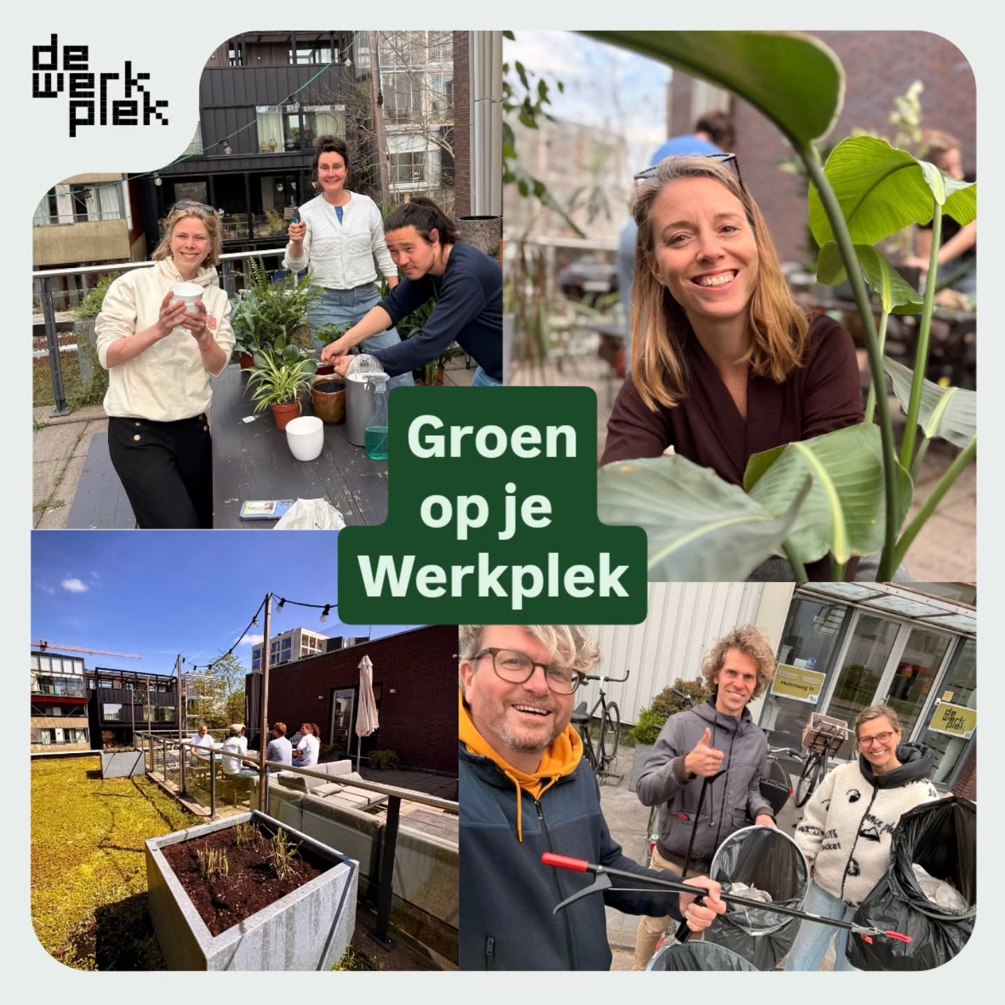 📸 boven: alle binnenplanten zijn van verse aarde voorzien,
📸 linksonder: ons dakterras - omgeven door groen sedum (dat aandacht nodig heeft om groen te blijven) èn grote plantenbakken gevuld met sierriet, dat nog flink moet groeien zoals je ziet 😁
📸 rechtsonder: het groen in onze straat hebben we bevrijd van zwerfafval tijdens onze eerste de Werkplek clean-up!
Zonder deze (en vele andere) betrokken Werkplekkers zouden wij dit nooit voor elkaar krijgen.
En ook: je hebt even welkome pauze, bent even met je handen i.p.v. met je hoofd aan het werk, ontmoet nieuwe mensen en krijgt er credits voor. Goeie deal of niet!?
#community #coworking #ondernemeninnoord #flexplek