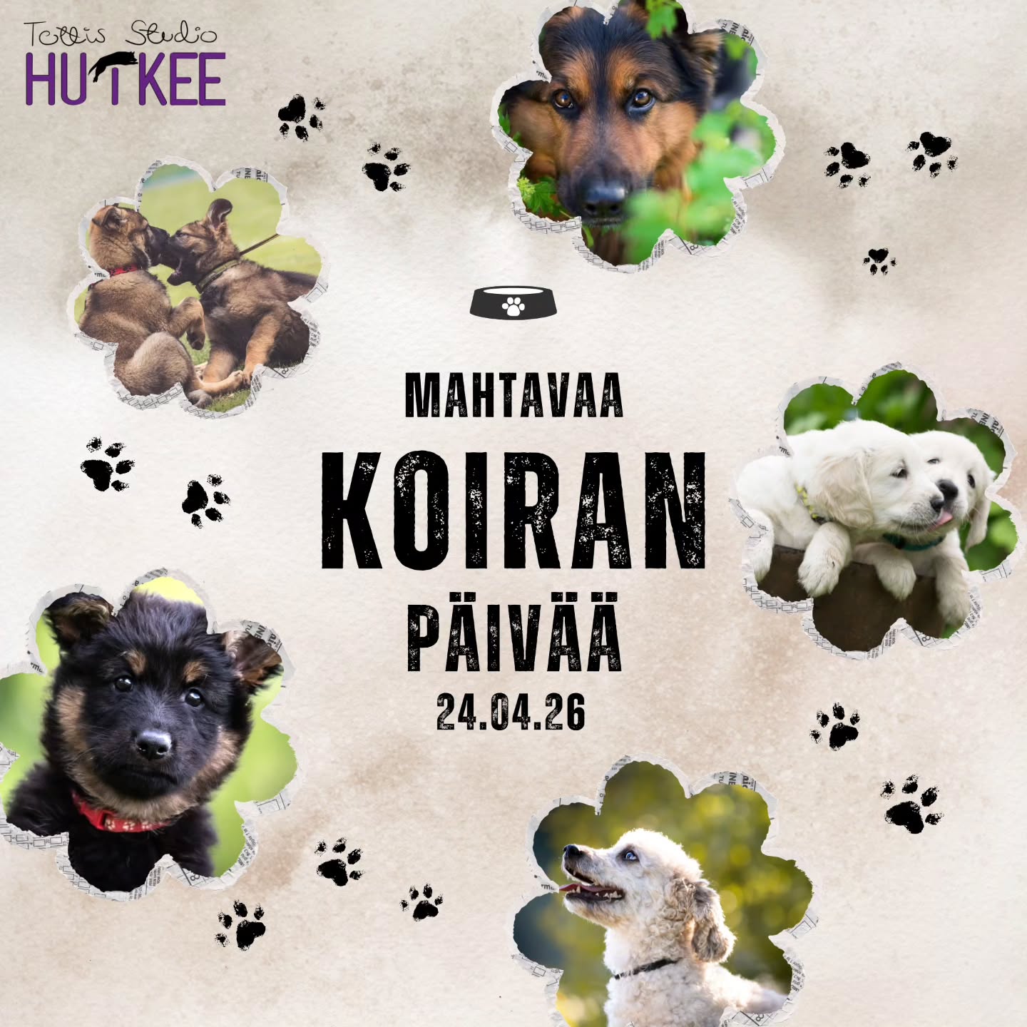 Koiranpäivä – päivä, jolloin juhlistetaan sitä, joka juhlistaa meitä joka päivä ❤️
~Yksi luu ja kaksi nakkia,
kolme kierrosta takapakkia!
Häntä heiluu, kuono nuuskii,
elämä on aika huiskii! ~
Koiranpäivä – juhla suuri,
herkku maistuu tuplasti juuri! Muistakaahan vaatia tänään extraherkut 😘🐶🐾
#koiranpäivä #tottisstudiohuikee