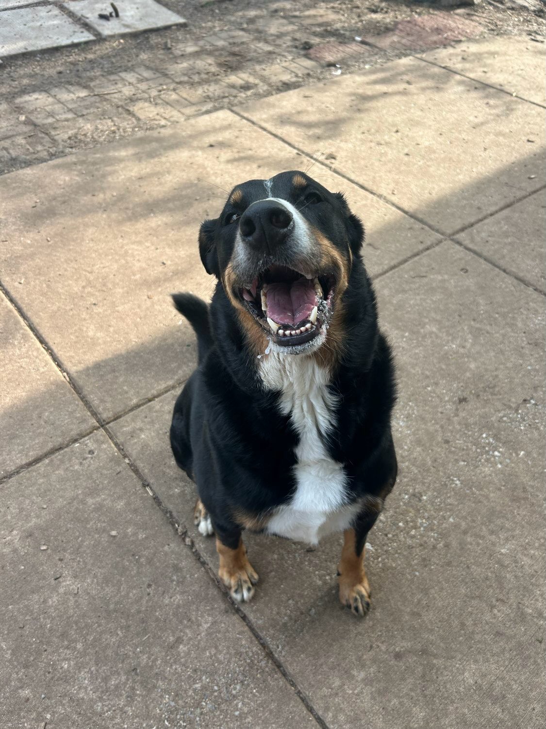 Happy Friday!!🐾