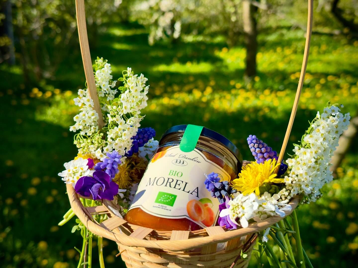 Słońce, kwiaty i… słoik pełen szczęścia 🌼🍑
BIO morela od Sad Danków smakuje jak pierwszy ciepły dzień wiosny lekko, naturalnie i tak dobrze, że trudno się oprzeć.
Zerwane z natury, zamknięte w słoiku i gotowe, żeby poprawić Ci humor 💛
Bo czasem wystarczy łyżeczka… żeby dzień był słodszy.
#SadDanków #bio #morela #naturalniesłodkie #smakwiosny dżemlove