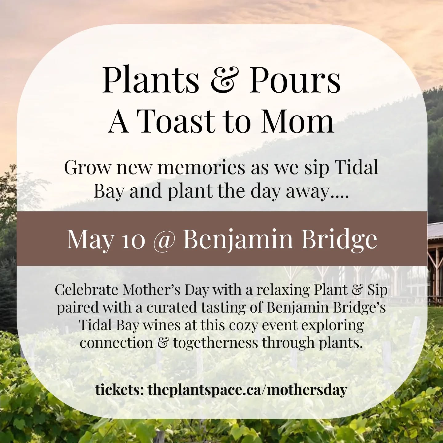 ๐Join us at @benjaminbridge this Mother's Day for a relaxing plant & sip celebrating mom! ๐
๐ฑPlant and take home a new houseplant plus a bonus begonia hula-blush cutting & planting kit
๐ฑExplore a curated tasting of Tidal Bay through the years
๐ฑGet exclusive promotions at the Benjamin Bridge retail shop including access to vintages of Tidal Bay not available to the public!
Space is limited - get tickets at theplantspace.ca/mothersday