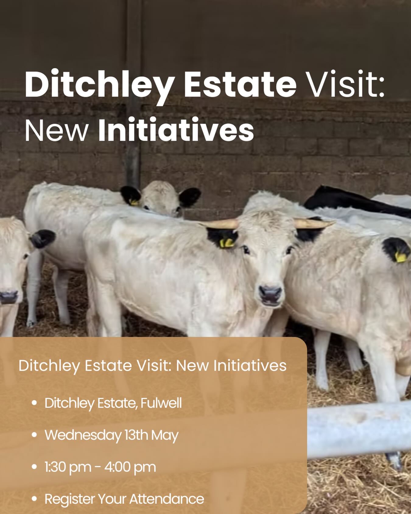 Join us at the beautiful Ditchley Estate for an informative afternoon exploring some of their latest initiatives.
From fenceless collars for grazing cattle 🐄 to a new cherry tree orchard 🍒, plus updates on the Evenlode Landscape Recovery project—there will be plenty to discuss.
📅 Wednesday 13th May
⏰ 1:30 PM – 4:00 PM
📍 Fulwell, Chipping Norton
Open to NECFC farmer members, followers, and friends.
Book your place via the link in our bio.
#SustainableFarming #FarmingInnovation #LandscapeRecovery #SharingKnowledge #NECotsCluster