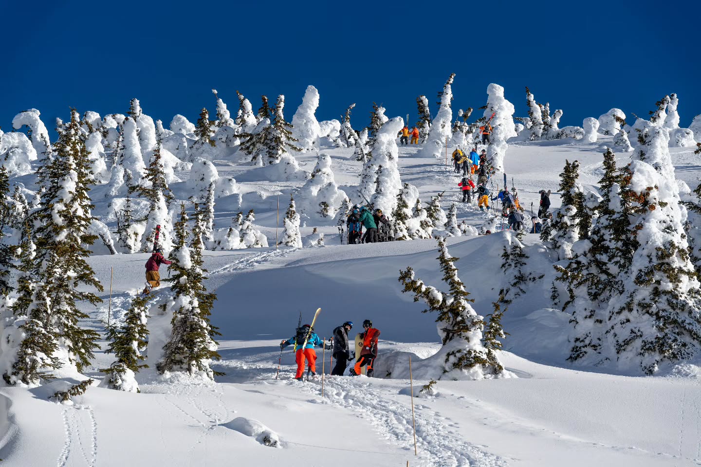The beauty of a boot pack. πΏβοΈ
(2026-02-05)
#revelstoke #britishcolumbia #skication #skiing #skitrip