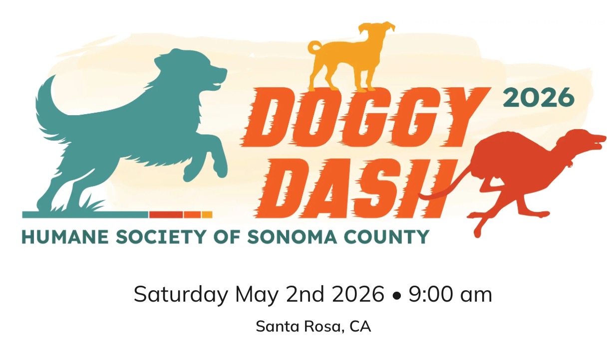 Will we see you at our 2nd Annual Doggy Dash?! ๐พ๐
On May 2nd, we'll be out at the Spring Lake Swimming Lagoon for a tail-wagging good time!
HSSC Annual Doggy Dash is a pet-friendly, family-friendly celebration that brings the whole community together for the animals we love. Join us at beautiful Spring Lake, where animal loversโwhether youโve got a furry sidekick or notโcome together to support HSSC and make a real impact. link in bio.
No dog? No problem! Come solo or bring a friend. A fun time will be had by all. ๐๐พ. #SpringLake #SonomaCountyParks #HSSC #AdoptLocal #SupportLocal