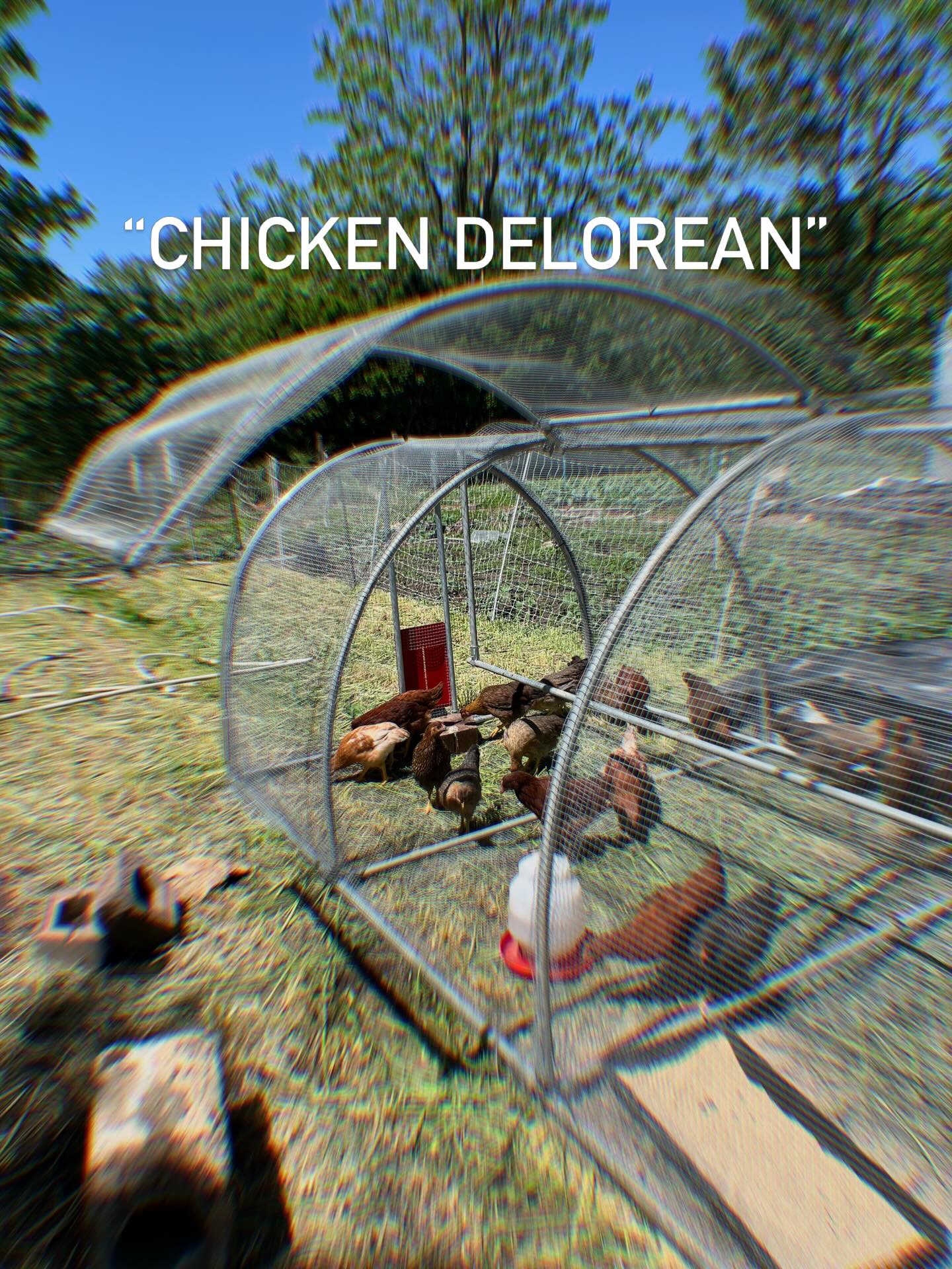 Introducing the lightest, most secure, chicken coop/tractor ever. Finally scrounged some time (out of necessity) to get our new birds house in an idea I’ve been thinking of. Entirely enclosed with hardware cloth. Super easy to move, and will be even easier once i slap some wheels and handles on it. Gonna tweak the design a bit for my second one next week, but pretty happy with it…and had to add a DeLorean door :)