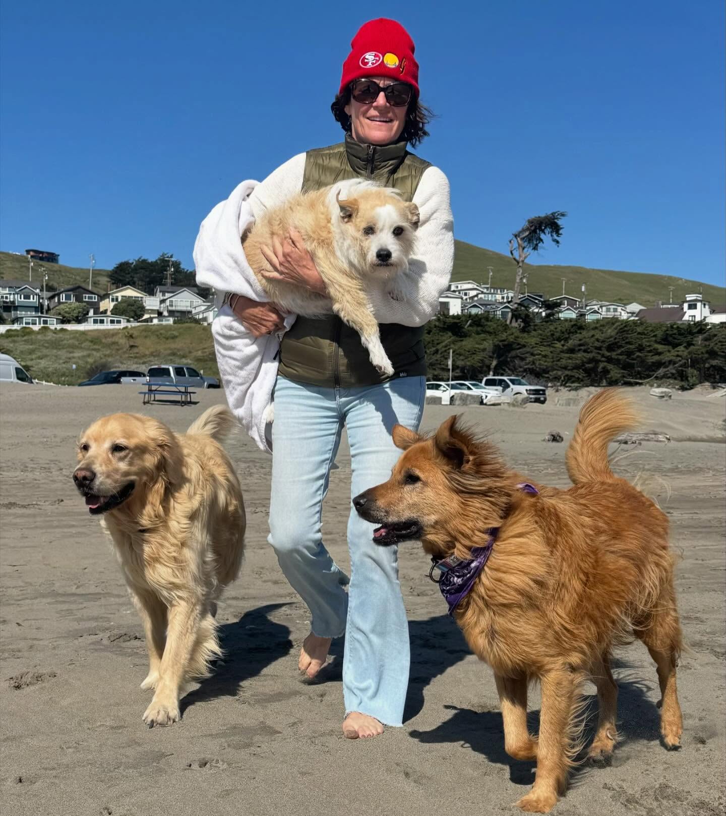 What's better than having one ALMA dog? TWO ALMA DOGS! ππ
Diego & Skipper had very different, hard lives in Mexico before being rescued... Now they are loved and cherished & have the BEST life with their big brother Boomer, 3 rescued kitties and the BEST mamas...
Yay for Happy Endings! π
#savealifeadoptarescuedog #happilyeverafters #almarescue
