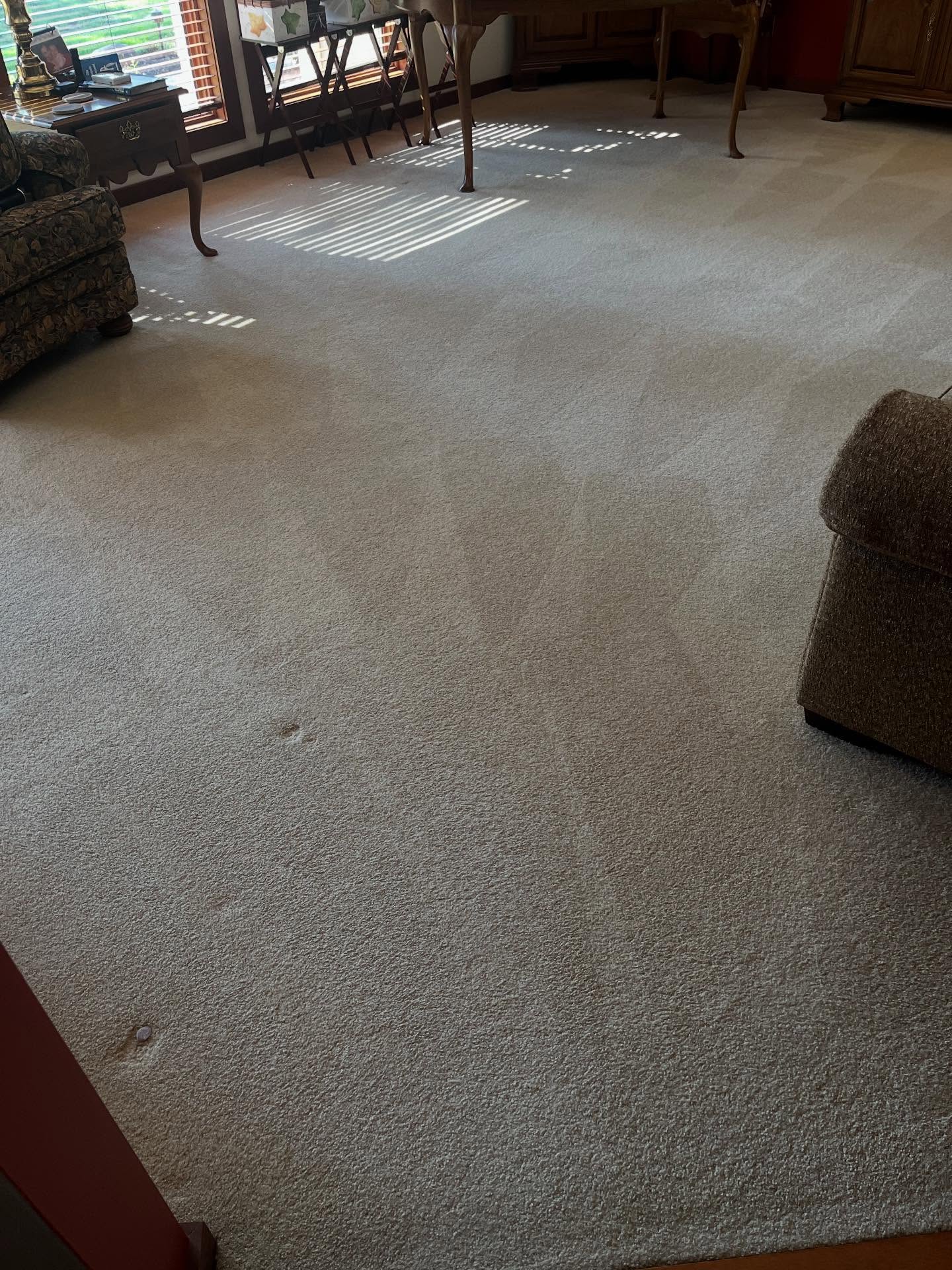 Maintenance carpet cleaning in Medina