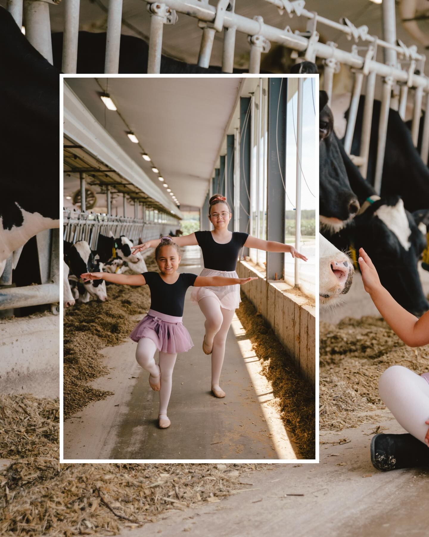 Il y a quelque temps, j’ai réalisé un shooting avec deux sœurs… deux ballerines, dans leur étable, entourées de leurs amies les vaches 🐮✨
Un mélange inattendu de douceur, de force et d’authenticité — exactement le genre de projet qui me fait vibrer derrière la caméra.
Peu importe votre idée, qu’elle soit simple ou unique, je suis toujours partante pour créer avec vous 🤍
Écrivez-moi, j’ai déjà hâte de découvrir votre univers !
#ballerine #projet #photographe #photoshoot