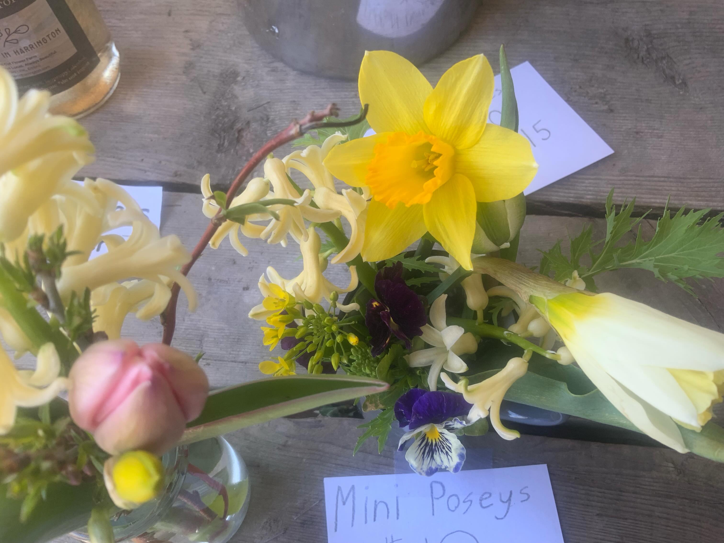 Opening for the season today!
🌸🌷 Pop by and pick up some beautiful spring flower or farm fresh chicken eggs or duck eggs!
Open Friday - Sunday 10am-6pm
#flowers #spring #open #farmfresh #local
