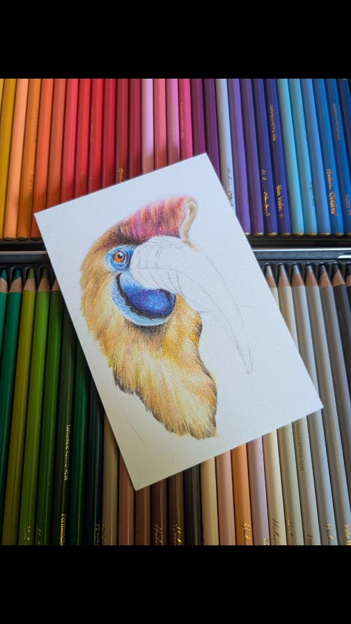 Ich arbeite gerade nebenbei an der nächsten Postkarte zu einem ganz tollen Projekt. Einige Künstler der CoreComunity nehmen dieses Jahr an einer Kunstwerk Tauschaktion teil.
Das heißt bis Oktober 16 Karten fertigen. Das klingt nicht viel, aber dennoch muss man dran bleiben.
#artpractise #artcompetition #pencilartwork #animalart #myownartology
