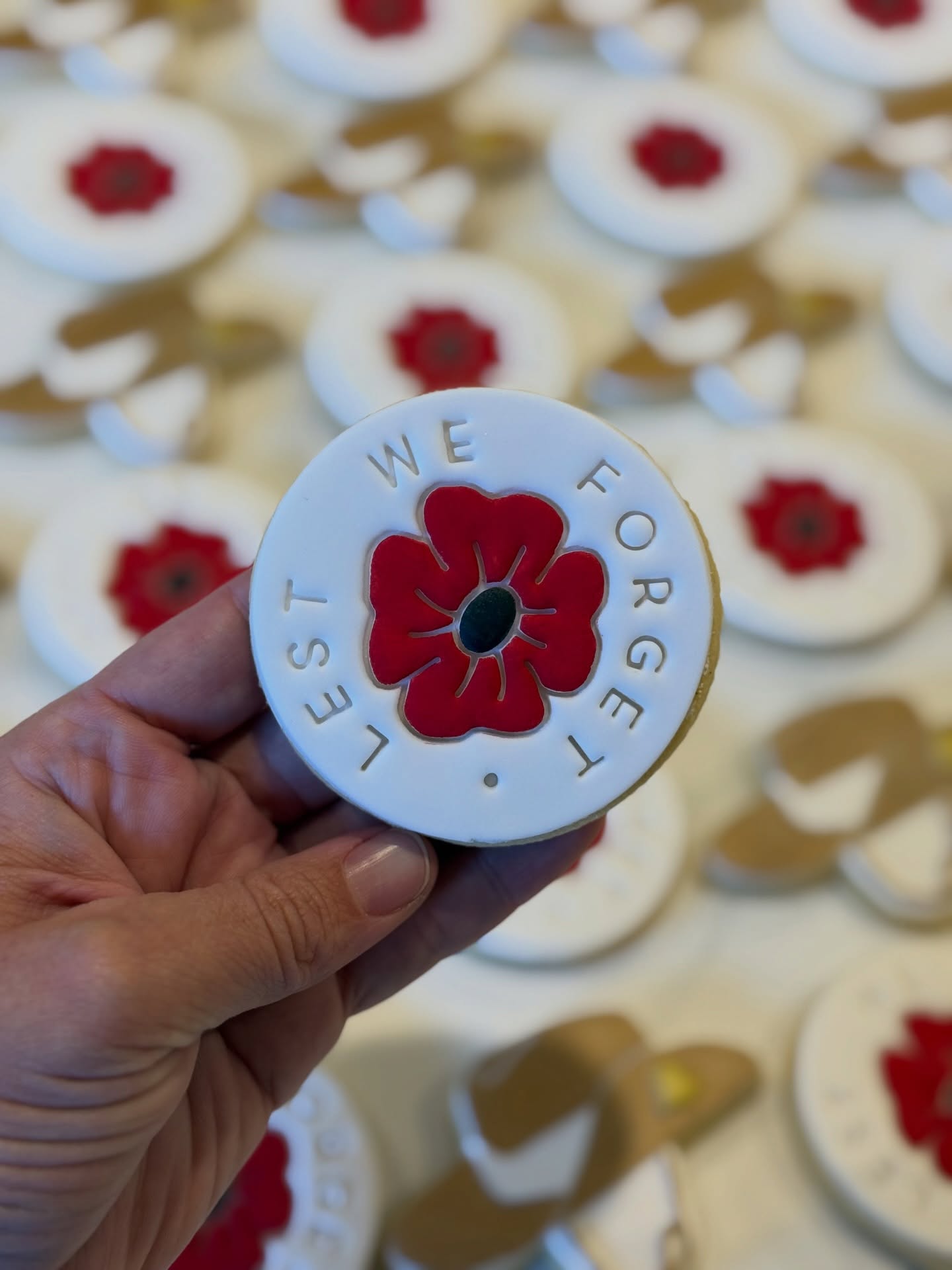 They Shall Grow Not Old, As We That Are Left Grow Old: Age Shall Not Weary Them, Nor The Years Condemn. At The Going Down Of The Sun And In The Morning We Will Remember Them. Lest We Forget