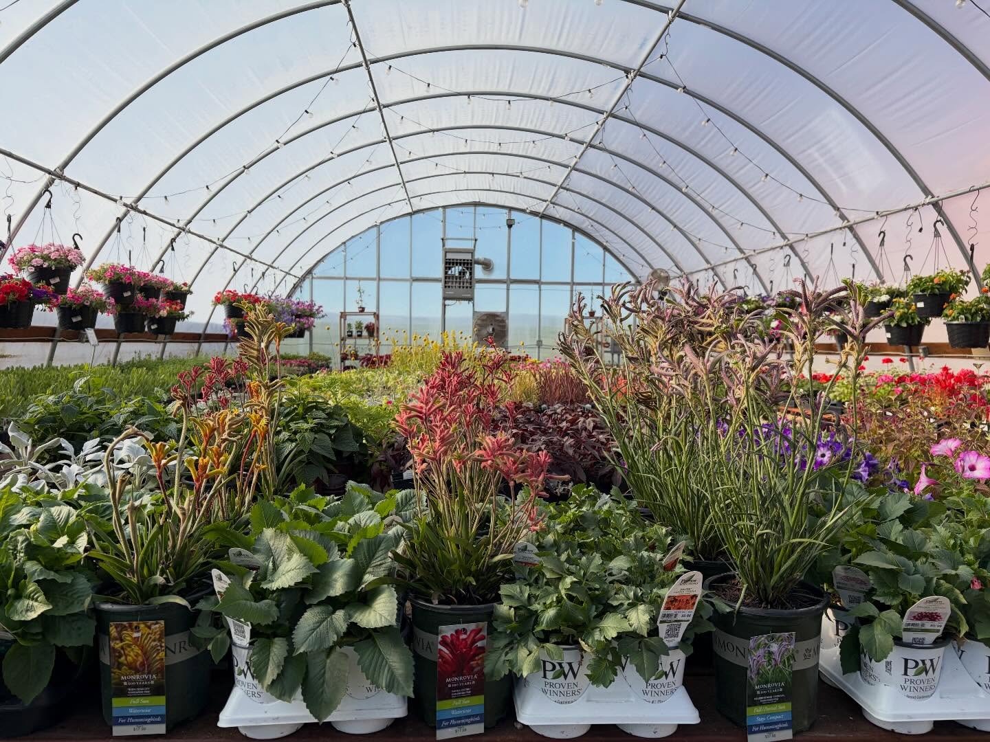 It’s Garden Party weekend and the greenhouses are bursting! 🌸🌼 Come stroll through, ask your planting questions, get inspired, and kick off spring with us!
We’re here 8a - 5p today! And the Garden Grill is open 10a - 2p for snacks and lunch!