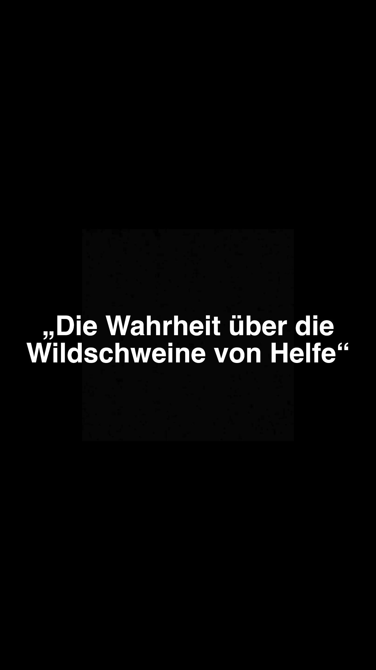„Wildschweine in Hagen-Helfe… aber was ist wirklich los?“
Zwischen Schlagzeilen, Sorgen und schnellen Meinungen entsteht gerade ein Bild, das wir so nicht einfach stehen lassen wollen.
👉 Denn Fakt ist:
Bis heute gab es keine Angriffe auf Menschen. Keine Verletzten.
Und trotzdem wächst die Unsicherheit.
Warum sind die Tiere überhaupt hier?
Ist es wirklich ein Problem – oder ein Zeichen dafür, wie naturnah wir leben?
🎬 In unserer kommenden Doku schauen wir genau hin:
– Was wirklich passiert ist
– Warum die Wildschweine da sind
– Und wie wir eine Lösung finden, die für Mensch und Tier funktioniert
Kein Drama. Keine Panik.
Sondern echte Aufklärung und neue Perspektiven.
📍 Hagen-Helfe
📅 Die Doku kommt bald online
Bleib dran – und bilde dir deine eigene Meinung.
#Hagen #Helfe #Wildschweine #Naturverstehen #Aufklärung