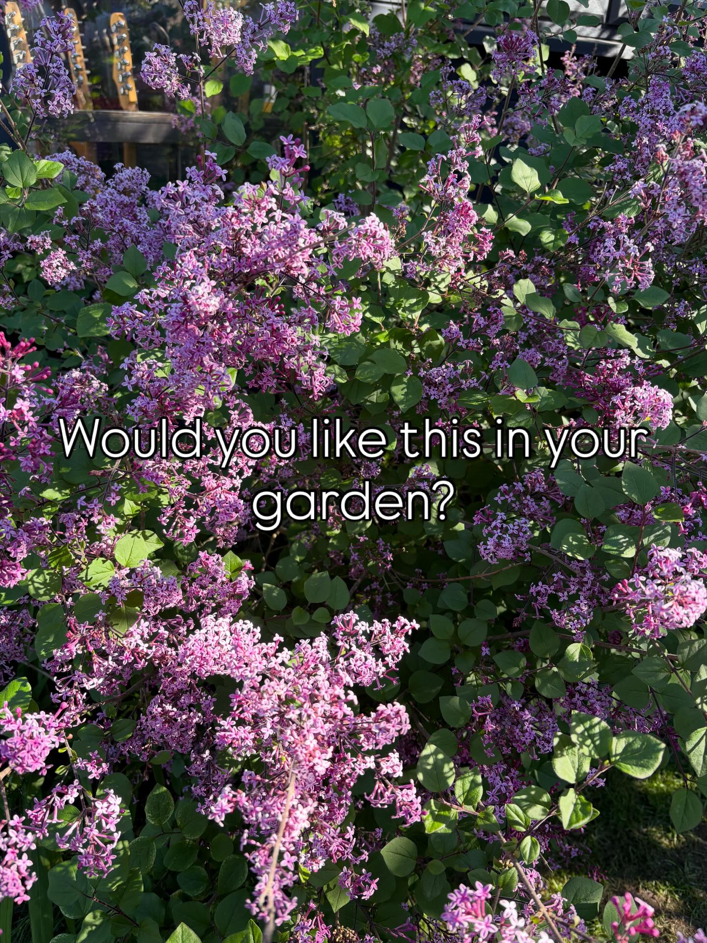 If you are based in West London and would like to bring nature and wildlife to your garden - get in touch https://www.agatahendersongardendesign.co.uk