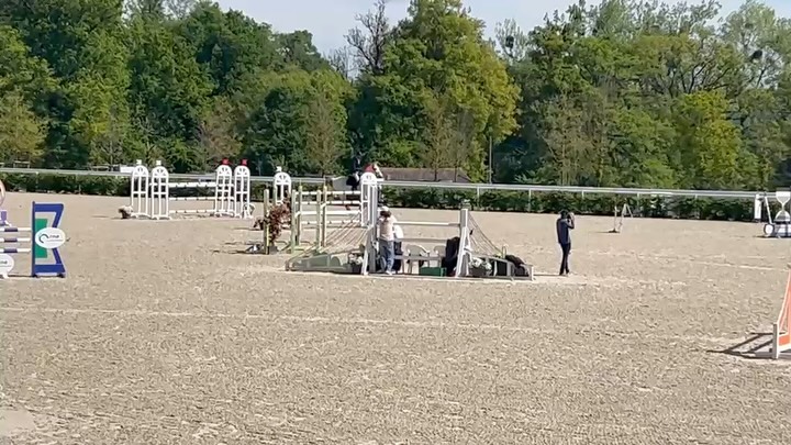 Corvette & Joconde signent chacun de belles prestations au @harasnationaldupinpolesport ce week-end đ€©
Corvette van Overis Z - đ„ GP 1m35 et 8e 1m30
Joconde du Thot - 10e GP 1m25