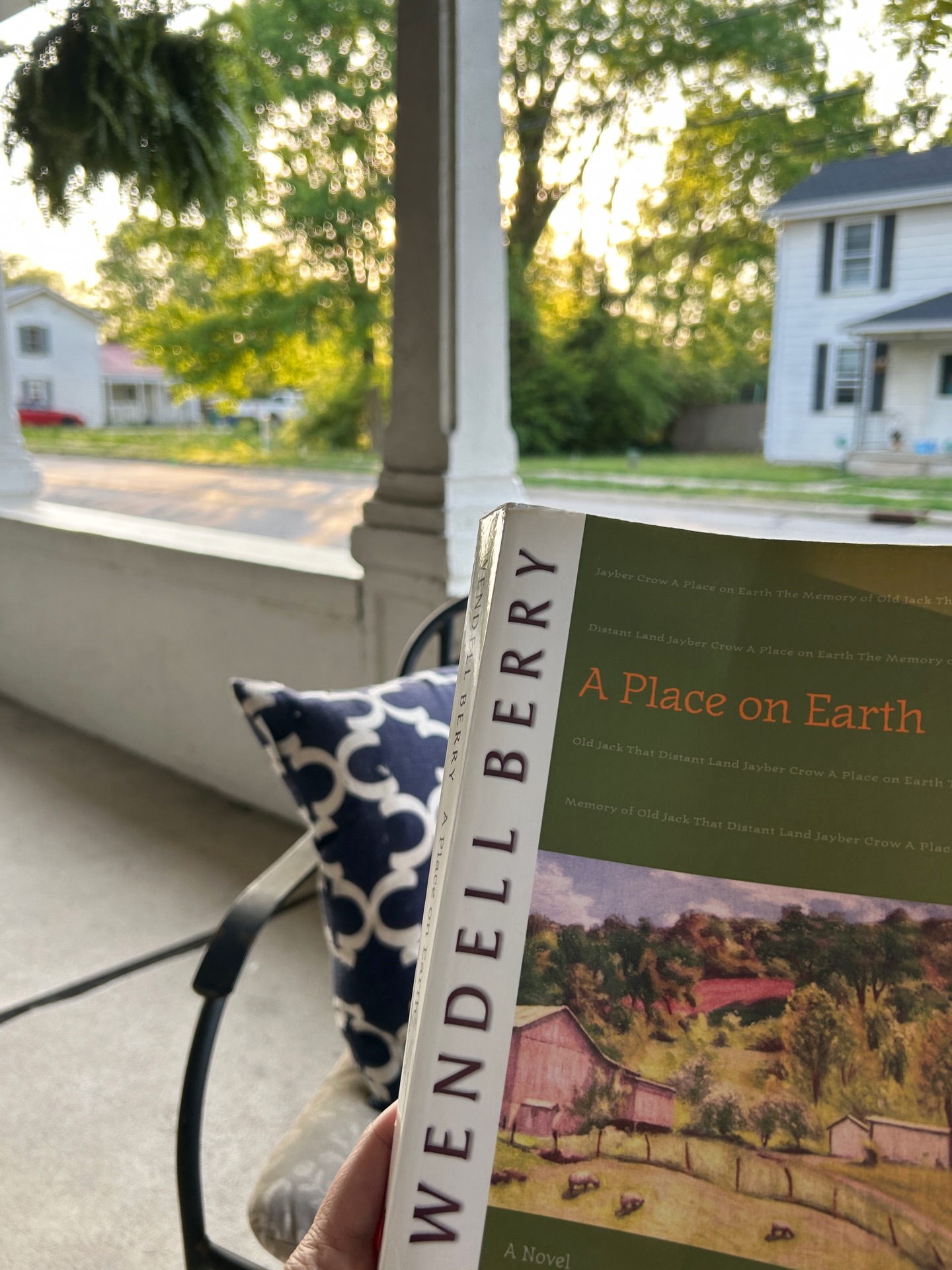No greater feeling than an unseasonably warm spring evening on my front porch reading Wendell, listening to Tyler, watching my ferns sway in the wind. Perfection.
