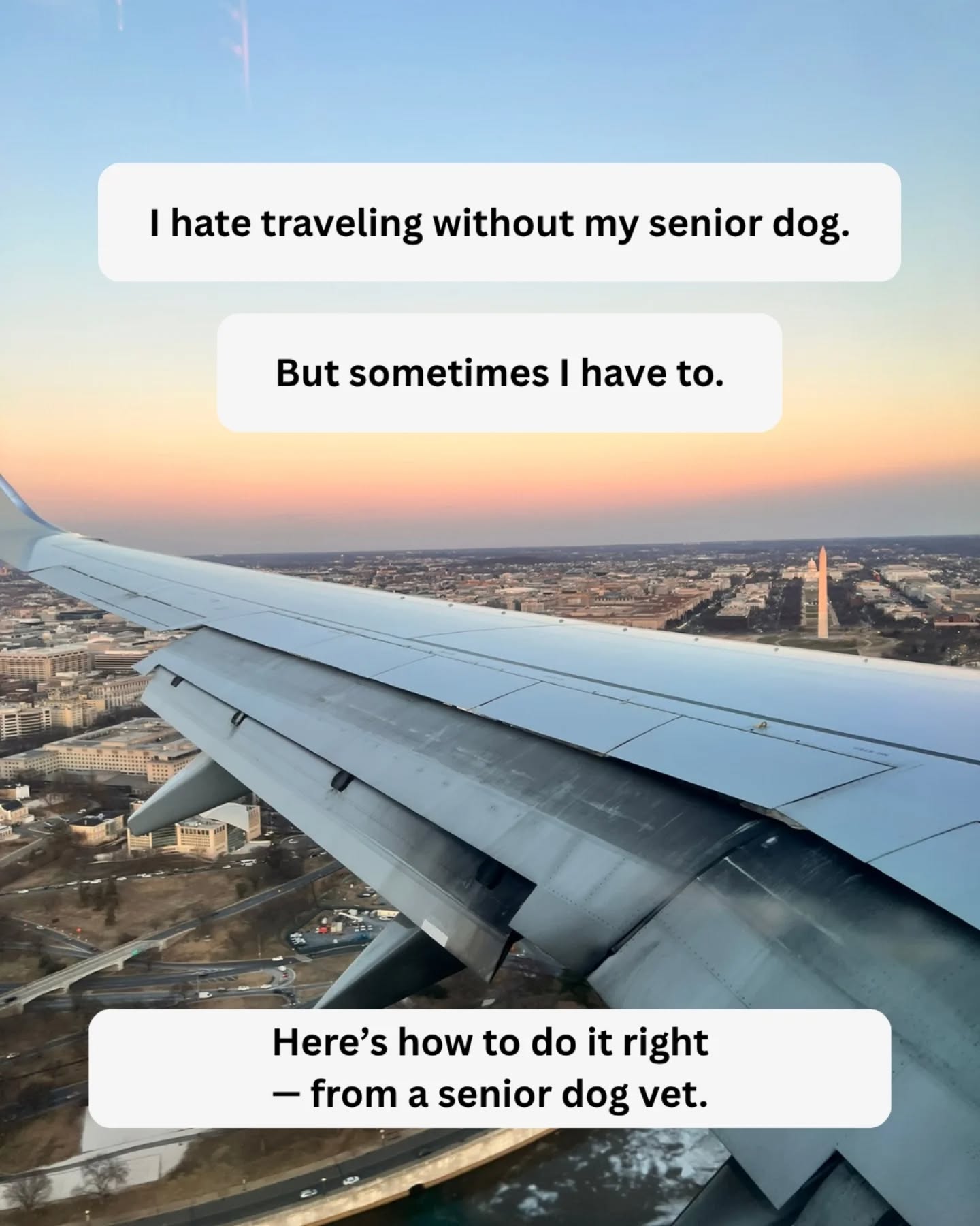 Who else feels guilty leaving their senior dog when they travel? 🤍
Sharing some tips above.
Follow for vet guided senior dog support.
Comment TRAVEL for my free Senior Dog Travel and Pet Sitter Checklist. ✈️
Save this for your next trip