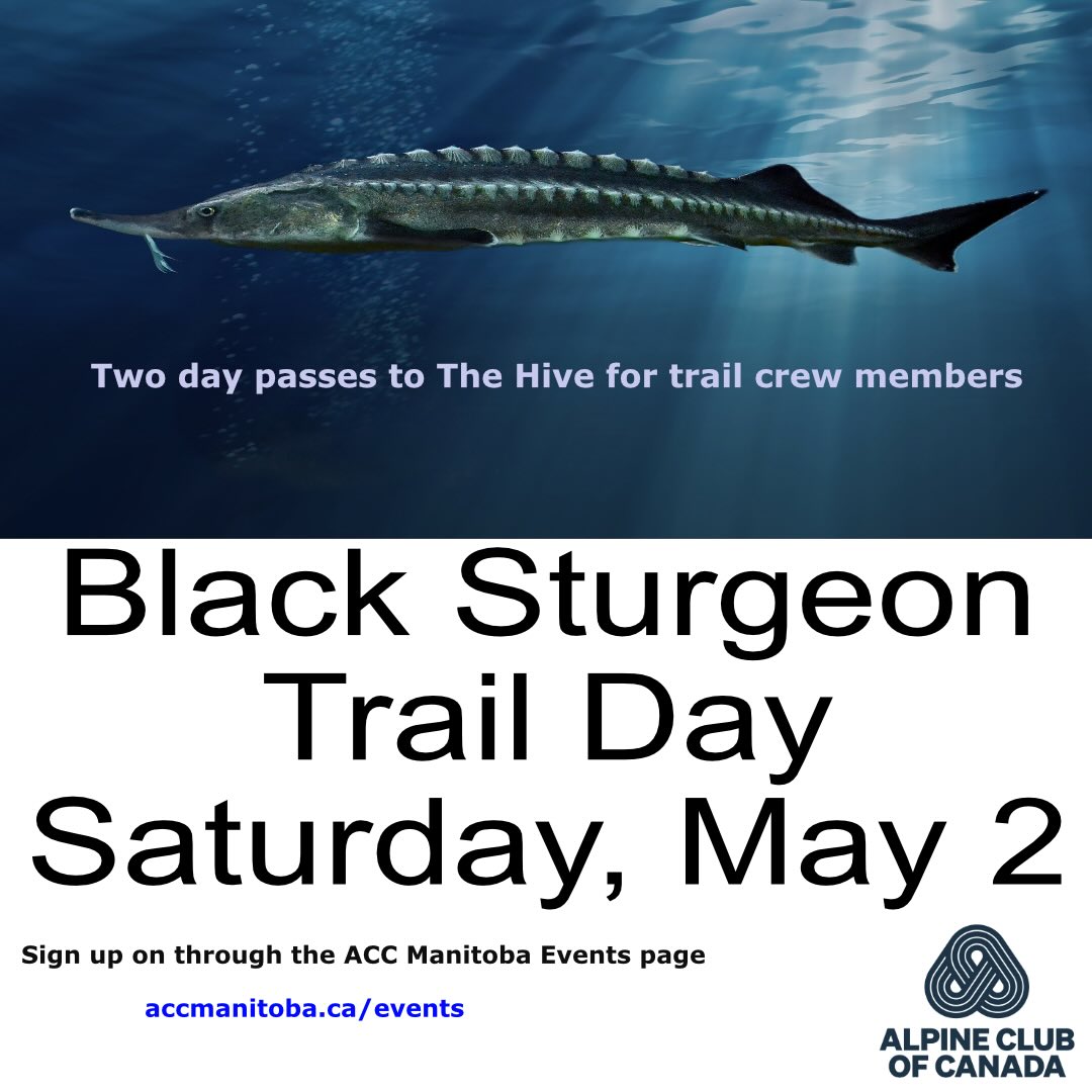 Black Sturgeon is calling 📞 Big trail work day this Saturday. Hope you can make it and score yourself some Hive passes along the way.
Sign up on our event page.