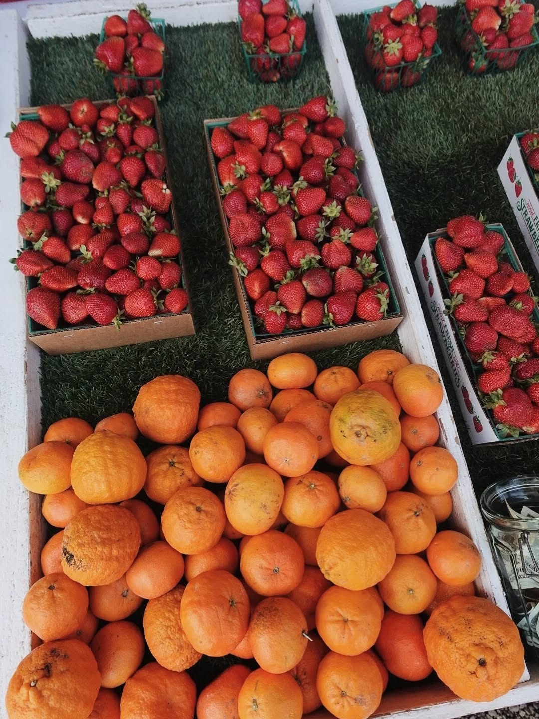 It's strawberry season in Suisun Valley! 🍓
One of my favorite things about spring is the arrival of strawberries at Robledo's Produce! I wish strawberry season would last forever, but all the more reason to enjoy it to its fullest while it lasts 🍓
.
.
.
#suisunvalleycalifornia #visitsuisunvalley #suisunvalleyliving