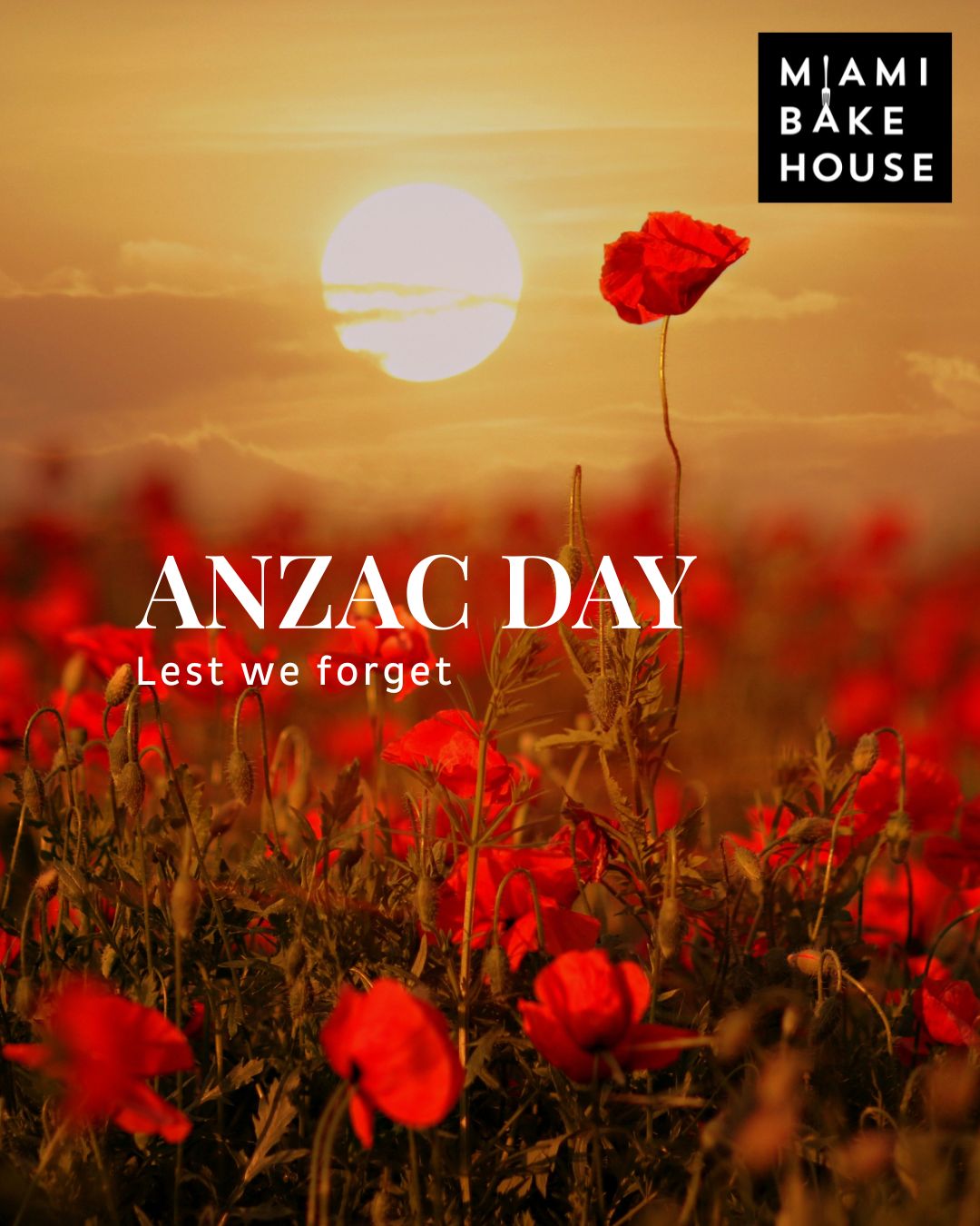 On the 25th of April, 1915, the first Australian and New Zealand troops landed at Gallipoli, Turkey. Today we shall remember them.
They shall grow not old,
as we that are left grow old;
Age shall not weary them,
nor the years condemn.
At the going down of the sun
and in the morning
We will remember them.
We will remember them.
Lest we forget.