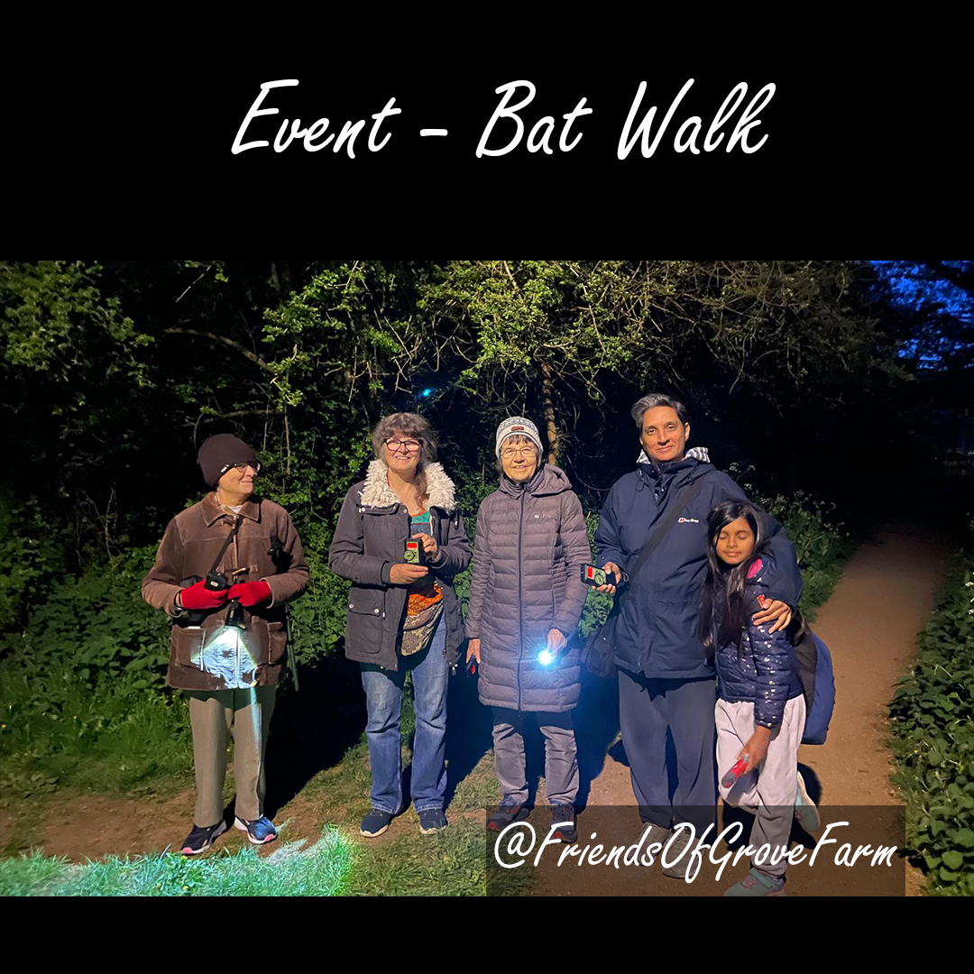 🦇✨ Bats, Determination & a Bit of Chaos! ✨🦇
Last Saturday gave us a lovely calm evening at Grove Farm Local Nature Reserve—but getting there was half the adventure! Despite public transport chaos, five dedicated bat enthusiasts made it out to join us. 🙌
Armed with our Magenta Bat 5 detectors, we picked up both common and soprano pipistrelles, with most of the action happening in the woodland as darkness fell. 🎶🌳 Watching (and hearing!) them flit through the trees was a brilliant reminder of how alive the reserve becomes at night. 🌌
A huge thank you to everyone who made the journey—you made it a great evening! 💚
If you’d like to experience the magic of Grove Farm after dark, keep an eye on our page for future bat walks and events. 👀🌿
#NatureWalks #BatWalk #ExploreNature #NatureLovers #friendsofgrovefarm