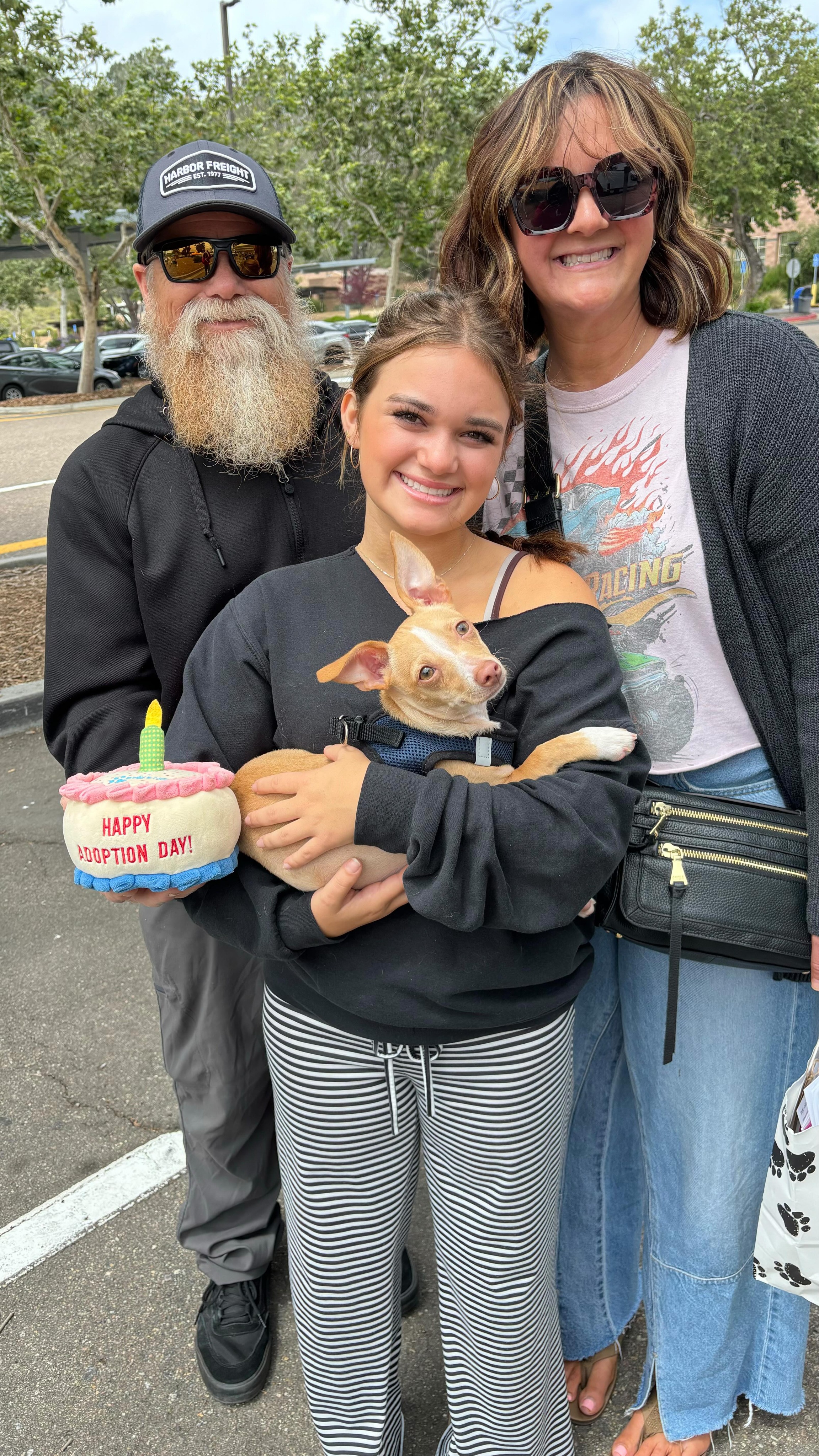 Another great Adoption Event at @cardiff_farmers_market yesterday, with our precious little Pepito getting adopted and our other pups getting lots of love & cuddles!
We currently have 8 ALMA pups being fostered locally. Submit a Meet n Greet application at: www.almarescue.org to come meet one! π
#adoptdontshop #adoptoceanside #rescuedisourfavoritebreed #dogmakelifebetter #almarescue