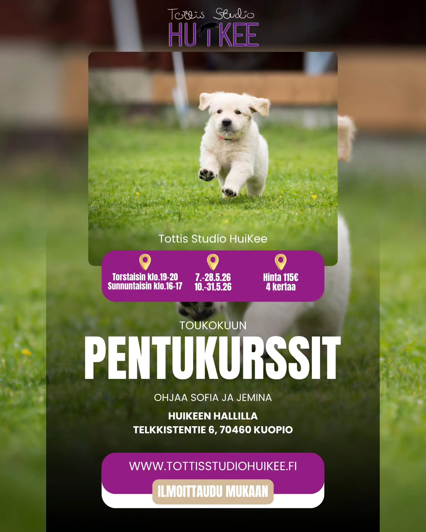 HuiKeen Pentukurssit
Haluatko sujuvamman arjen ja paremman yhteyden pentuusi? 💜
Tällä kurssilla rakennetaan vahva perusta:
✨ Perustottelevaisuus
✨ Kontakti ja yhteistyö
✨ Arjen tärkeät taidot
Sopii 4–12 kk pennuille – jatkoksi PentuEskarille tai ensimmäiseksi kurssiksi!Pieni ryhmä → enemmän ohjausta juuri teille 🐶
📌 Toukokuussa starttaa 2 ryhmää! Tutustu lisää kurssiin kotisivujemme kautta ja ilmoittaudu mukaan
Aloita yhteinen matka kohti tasapainoista ja iloista arkea ✨
#tottisstudiohuikee #pentukurssi #koirankoulutus #kuopio #koirakoulukuopio