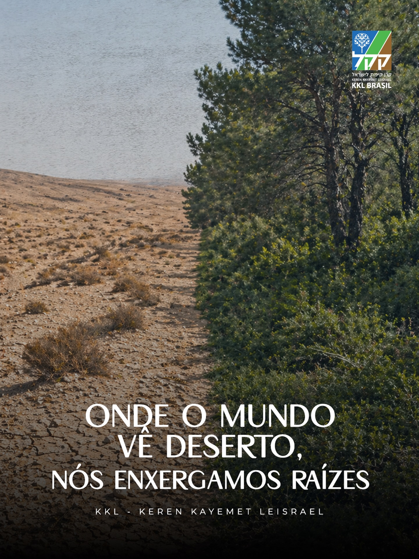 Você sabia que mais de 60% do território de Israel é composto por áreas desérticas?
A natureza impôs um desafio extremo à nossa existência, com temperaturas altíssimas e escassez crônica de chuvas no Neguev e no Vale do Aravá. Para qualquer outra nação, esse cenário significaria recuo e abandono das terras secas. Para nós, foi o convite perfeito para provar que a vontade de viver supera qualquer obstáculo geográfico.
Quando o KKL iniciou o plantio de florestas em regiões semiáridas, muitos disseram que era impossível fazer o deserto florescer. Hoje, essas áreas verdes não apenas existem, como atuam como escudos vitais que previnem a erosão do solo, combatem o avanço da desertificação e devolvem o equilíbrio climático a uma região que antes só conhecia a poeira. Cada muda plantada no Sul de Israel é uma vitória da ciência, da teimosia e do amor incondicional pelo nosso território.
Ajude a expandir essa barreira verde de esperança. Acesse o link na bio e contribua com a meta de 500 árvores do Bosque da Reconstrução (יער שחזור).
.
.
.
#Sustentabilidade #DesertoDoNeguev #MeioAmbiente #Reflorestamento #KKLBrasil