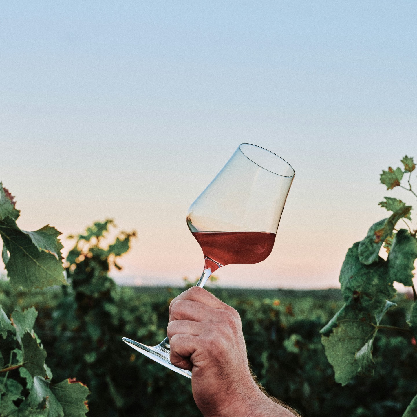 🍷✨ Pollença Wine Fair 2026 | Fira del Vi de Pollença 2026 📅 25–26 April 2026 | 📍 Cloister of Sant Domingo, Pollença
Raise a glass to the 23rd edition of one of Mallorca's most beloved wine events! Set in the stunning historic Cloister of Sant Domingo, the Fira del Vi returns for a weekend of exceptional wine, culture and community.
🍇 37+ wineries from across Mallorca
🌿 Featuring DO Pla i Llevant, DO Binissalem & IGP Vi de la Terra Mallorca
🤝 Special guests from DO Montsant (Priorat, Catalonia)
🥂 Over 250 wines to taste and discover
Chat directly with the winemakers, hear the stories behind every bottle, and take home your favourite find.
🎟 Entry: €15 (includes tasting glass + €5 wine voucher)
🕙 Sat 25th: 10:00–20:30 | Sun 26th: 10:00–14:00
🔗 More info: viprimitiu.org
— — —
🍷✨ la Fira del Vi de Pollença 2026 | 📅 25–26 de abril de 2026📍 Claustre de Sant Domingo
Prepárate para brindar en la 23ª edición de una de las citas vinícolas más emblemáticas de Mallorca. Un fin de semana único donde el vino, la cultura y el buen ambiente se encuentran en un entorno incomparable.
🍇 Más de 37 bodegas mallorquinas
🌿 Con DO Pla i Llevant, DO Binissalem e IGP Vi de la Terra Mallorca
🤝 Invitados especiales de la DO Montsant (Priorat, Cataluña)
🥂 Más de 250 vinos para descubrir
Conoce a los enólogos, escucha sus historias y encuentra ese vino especial para llevarte a casa.
🎟 Entrada: 15€ (incluye copa de cata + vale de 5€)
🕙 Sábado 25: 10:00–20:30 | Domingo 26: 10:00–14:00
🔗 Más info: viprimitiu.org
👉 No te lo pierdas — ¡nos vemos entre copas!
#FiraDelVi2026 #FiraDelViPollença2026 #PollençaWineFair #MallorcaWine #VinsDeMallorca #Pollença #InMallorcaMagazine #WineLovers #DOMontsant #DOBinissalem #DOPlaILlevant #ViPrimitiu #Mallorca2026