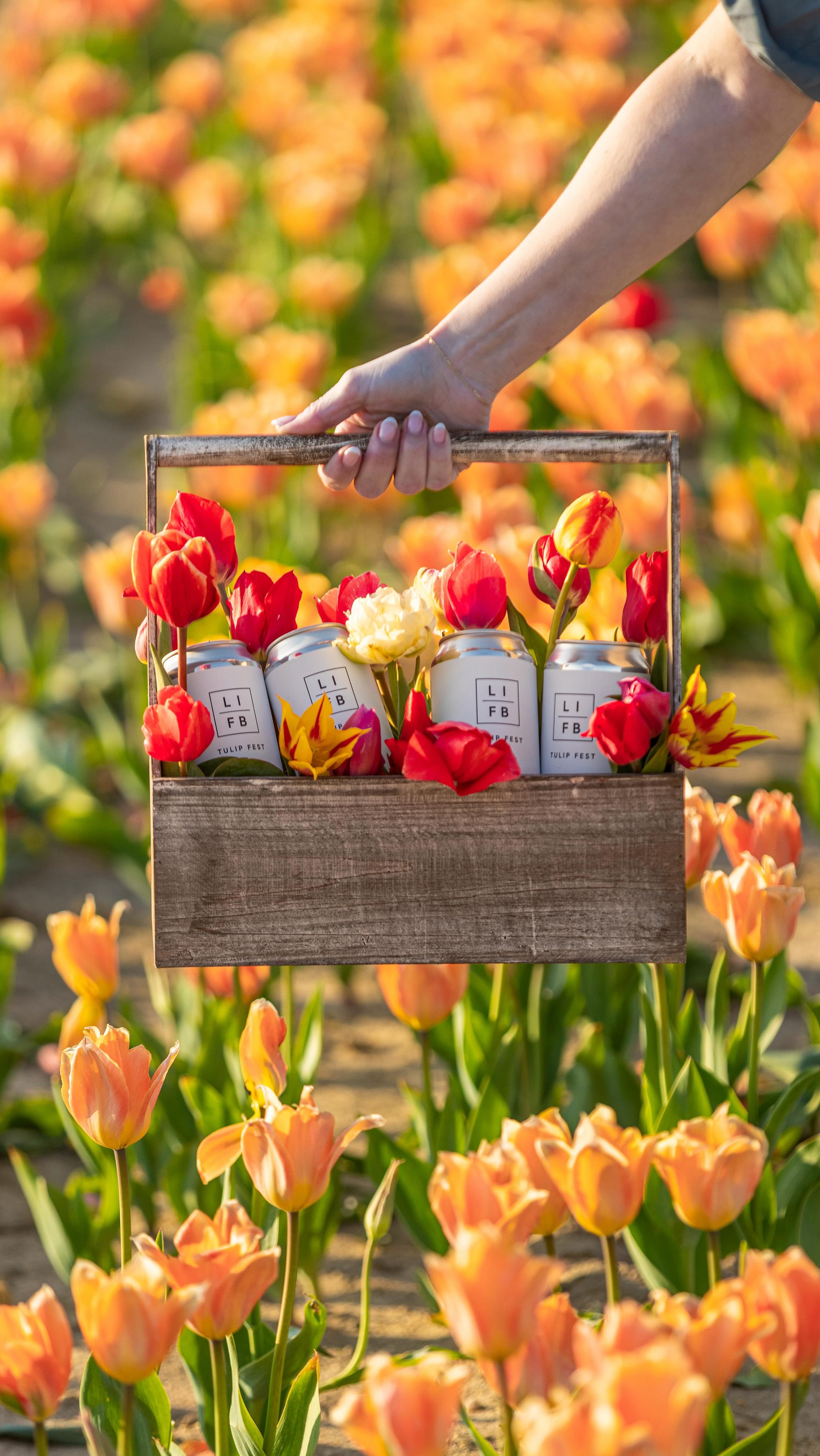 The tulip fields at @waterdrinkerlongisland are in bloom and sunset hours are officially here, open late in Manorville until 7:30PM so you can soak in every last golden hour.
Pick tulips, grab a Tulip Fest, and make it count before the season is over 🍺🌷