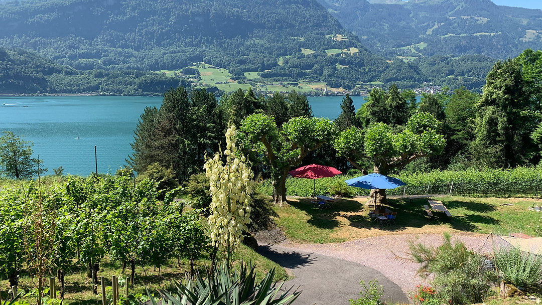 Grotto Kaliforni öffnet am 2. Mai 2026 ab 11h! 🌴🍷 Beatrice Sablonier serviert Tortilla mit Mojo-Sauce, Gazpacho, Grillgemüse, Tramezzini, Couscous und Bio-Würste vom Grill – dazu alle CasaNova WeinPur-Weine im offenen Ausschank. Direkt im Weinberg vom Weingut CasaNova Wein Pur am Walensee. Was will man mehr? ☀️
Link in Bio
#GrottoKaliforni #CasaNovaWeinPur #Saisonauftakt #WeinUndEssen #SeeGenuss #Regionalität #Walensee#FoodLovers#WineLovers