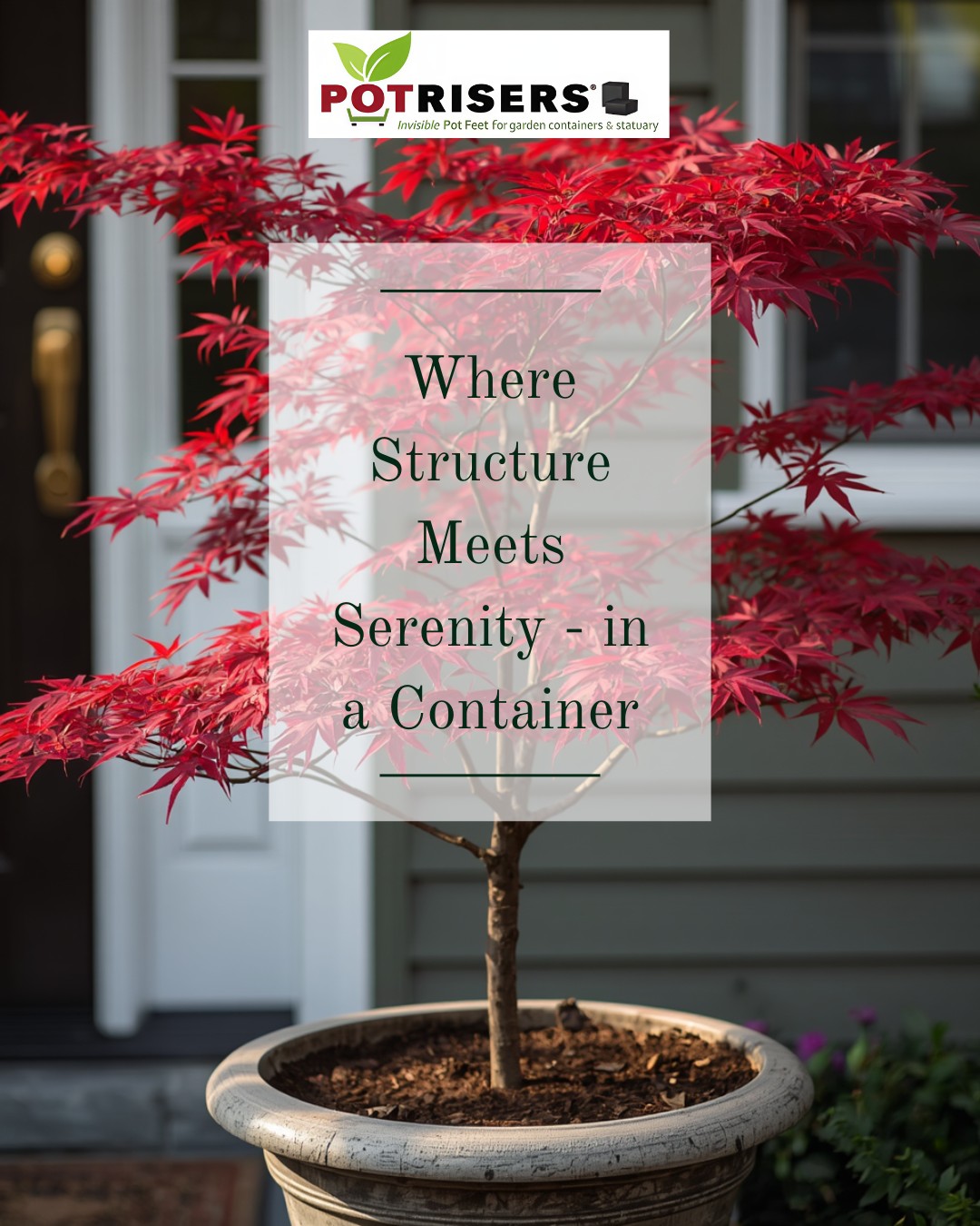 Where Structure Meets Serenity - in a Container
Japanese maples have a way of bringing balance into a space—architectural form paired with soft, shifting color. In containers, they become living focal points that evolve through the seasons while keeping a sense of calm and intention in the garden.
Success with container maples starts with choosing the right variety and giving the roots the conditions they need to thrive. With proper drainage and airflow, even a small space can hold something truly striking.
Potrisers® help create that foundation—improving soil drainage while also protecting pots and surfaces from staining, chipping and cracking.
Find Potrisers® at your local garden center or pottery store, or shop online—link in bio.
A quiet structure. A lasting presence.
#japanesemaple #containergardening #patiogarden #gardeninspiration #outdoorliving #gardenstyle #plantdesign #urbangarden #smallspacegarden #planterdesign #gardencontainers #backyardinspo #plantlovers #gardenlife #seasonalgarden #serenegarden #potrisers #sustainablegarden