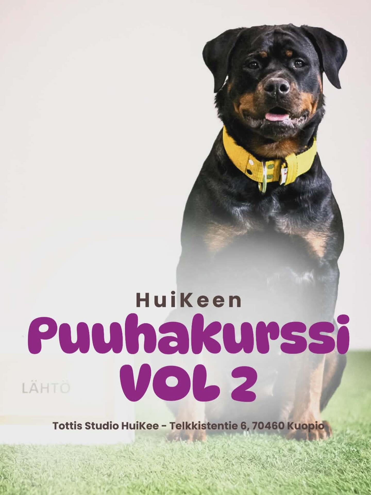 Kaipaatteko vaihtelua arkeen ja uusia tapoja tehdä yhdessä?
Puuhakurssi VOL2 tarjoaa rennon ja kannustavan mahdollisuuden tutustua eri koiraharrastuksiin ilman paineita – ilon ja uteliaisuuden kautta.
Kurssilla kokeillaan monipuolisesti eri lajeja, kuten näyttelyitä, tokoa, rally-tokoa ja noseworkia.
Saatte maistiaisia kunkin lajin perusteista, harjoittelette keskeisiä taitoja ja löydätte uusia tapoja vahvistaa yhteistyötä. Tavoitteena ei ole täydellinen suoritus, vaan yhdessä tekeminen, onnistumiset ja oman jutun löytäminen.
Kurssi sopii kaikille koirakoille, jotka haluavat lisää puuhaa arkeen, kokeilla erilaisia harrastuksia ja ehkä löytää juuri sen lajin, joka saa hännät heilumaan kaikkein eniten.
Kurssin aikana myös pääsee vahvistamaan koiran fysiikkaa erilaisten jumppatehtävien kautta, jotka tukee kaikkia lajeja.
Kurssilla kaikki koirakot harjoittelevat yhtäaikaa, mutta pieni ryhmäkoko takaa sen, että jokainen saa reilusti henkilökohtaista ohjausta.
Tervetuloa mukaan kokeilemaan, oppimaan ja innostumaan – rennosti yhdessä!
Sunnuntaisin klo 16-17, 10.5 alkaen. 4 kertaa
Hinta 115€
Ilmoittaudu mukaan tästä: https://slotti.fi/booking/tottisstudiohuikeeoy/#/