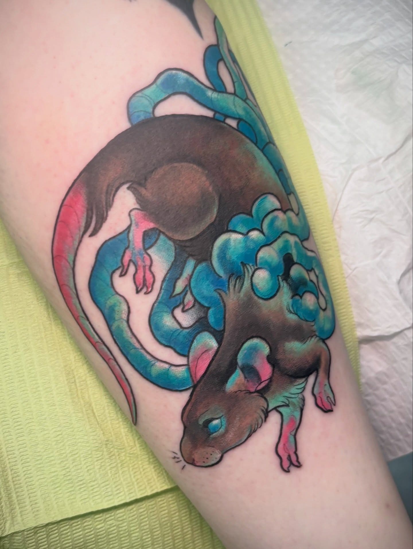 It’s always rat o’clock in this house. If you were a bioluminescent gut rat what color would your goop be?
Done while at @higherlovetattoo !
#tattoo#girlswhotattoo #rattattoo #illustrativetattoo #tattooartist