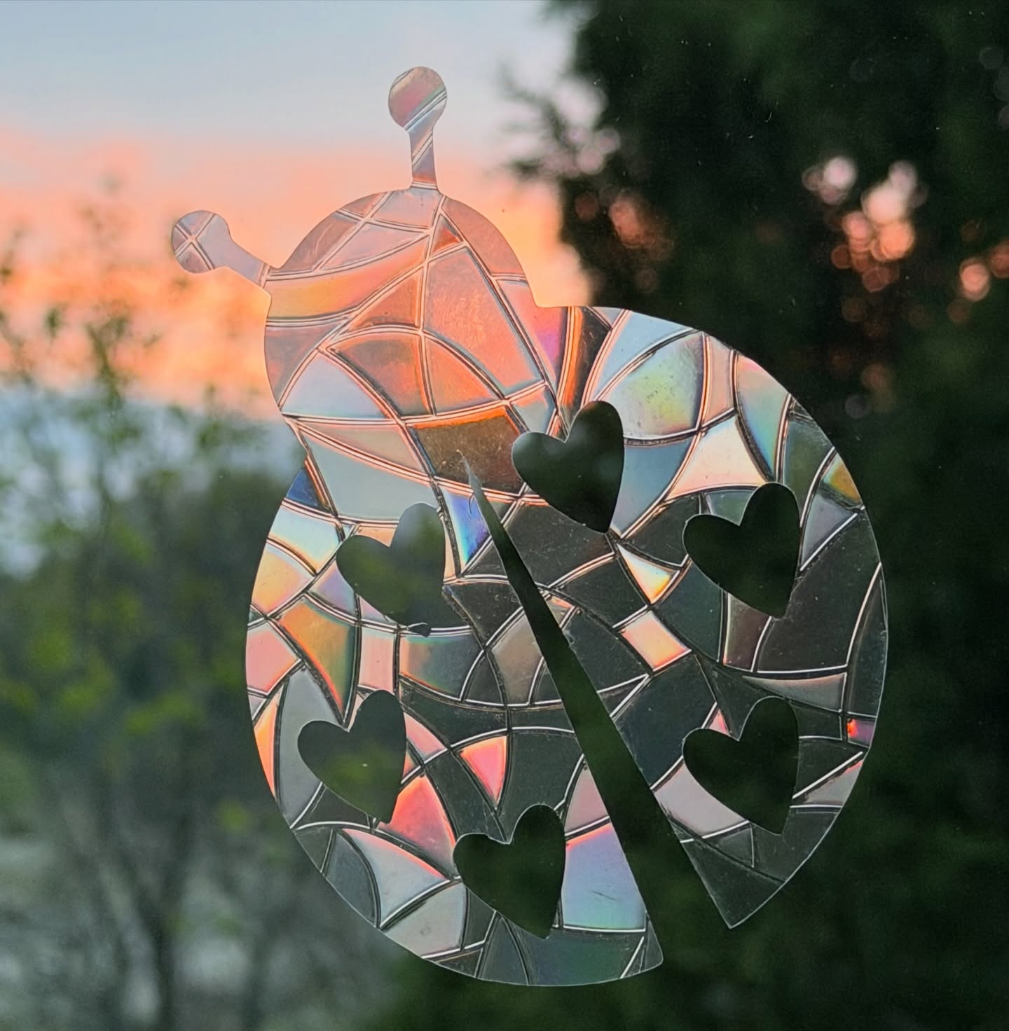 Tonight’s sunset feels like a little piece of heaven shining through. I can’t help but think of Charlie, sending love in the most gentle ways. Sun catchers on my windows come and go, but I’ll never not have the ladybug she designed. Whenever it catches the light just right, it’s a tiny reminder that she’s still near. 🐞🌅