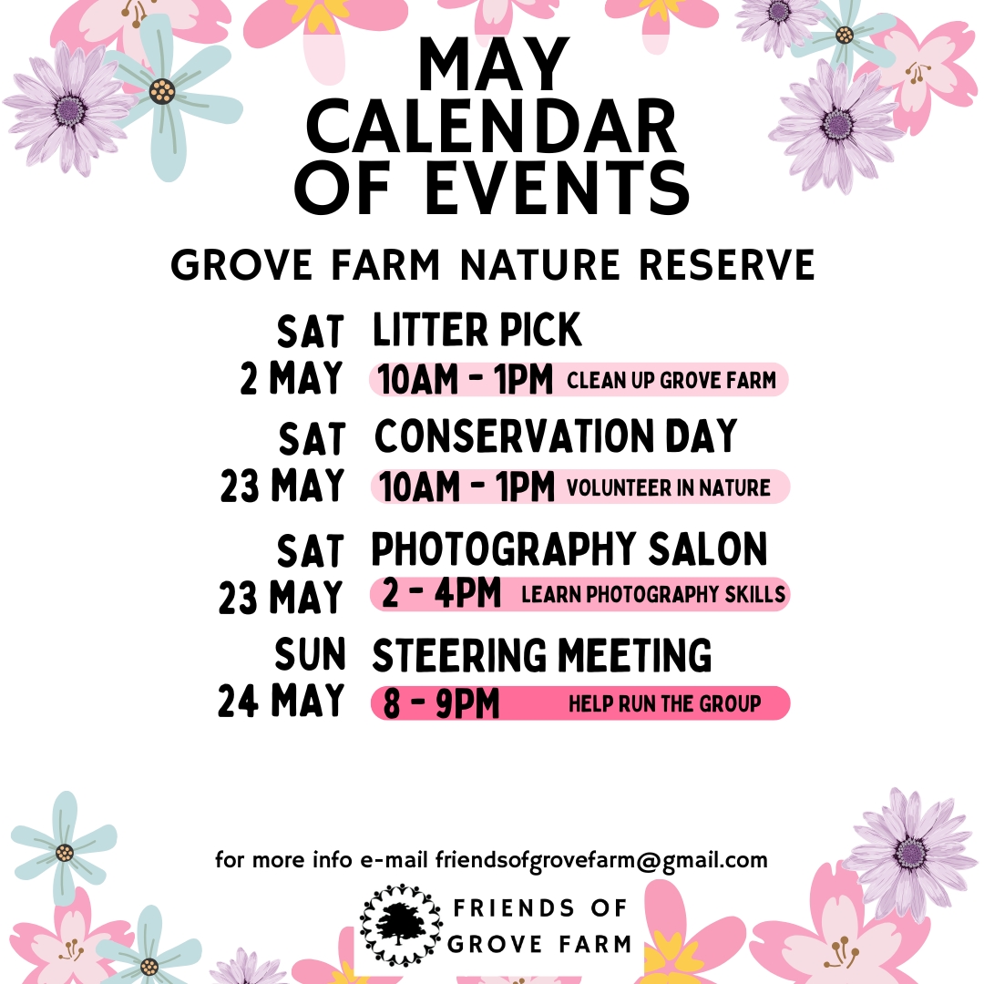 Join us this May for an adventure with Friends of Grove Farm! Whether it's an activity day 🛠️, a litter pick or coming along to our Photography Salon (see our Eventbrite) we’d love to see you at Grove Farm nature reserve! Link in Bio for our contact details.
#naturelover #conservation #friendsofgrovefarm #NaturePhotographers #Ealing