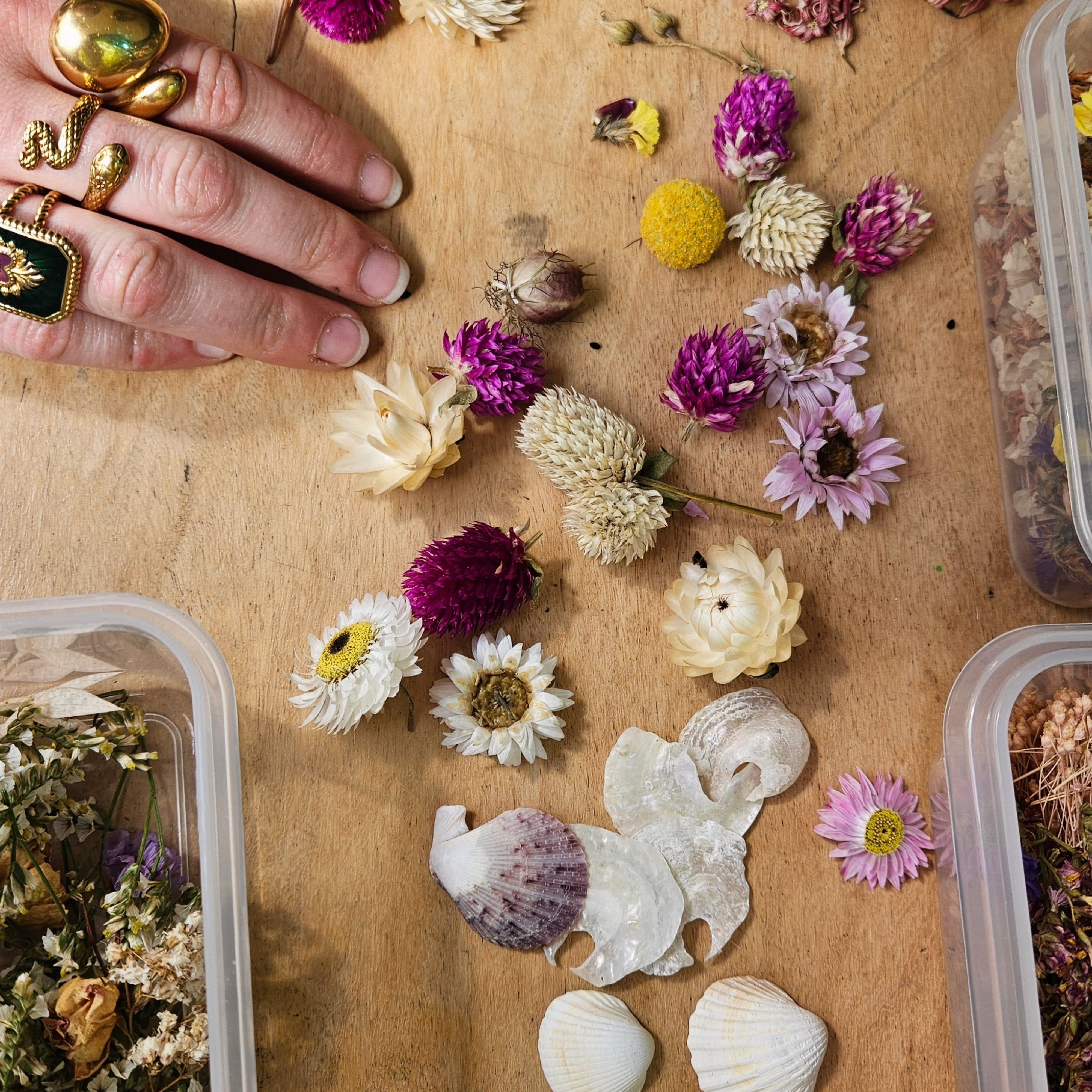✨ De la terre de Languidic à l'Atelier de Quiberon
À l’Atelier Salem, la magie ne naît pas seulement de la cire et du parfum. Elle prend racine
dans le sol breton, au rythme des saisons. 🌿
Si je sèche moi-même une partie des végétaux que j'utilise, j’ai aussi le privilège de
collaborer avec des passionnés qui partagent mes valeurs. Aujourd’hui, je voulais vous
présenter une pépite locale : Bleuenn ferme florale, une mini ferme florale bio nichée à
Languidic. 🌸
Pourquoi Bleuenn ? Parce que derrière chaque pétale se cache une culture respectueuse
de la biodiversité, sans produits chimiques, et une qualité exceptionnelle. Des fleurs
séchées aux couleurs vibrantes et des bouquets champêtres qui respirent la Bretagne sauvage.
Travailler avec les fleurs de Bleuenn, c’est :
✨ Soutenir l’horticulture locale et bio.
✨ Garantir des fleurs de haute qualité pour vos bougies et suspensions.
✨ Réduire notre empreinte carbone (du champ à l'atelier, il n'y a que quelques kilomètres).
C'est cette alchimie entre artisanat et nature locale qui rend chaque création de l'Atelier
Salem si singulière. Quand vous allumez l'une de nos bougies, vous faites aussi briller le
savoir-faire de nos producteurs bretons. ️🌊
Connaissiez-vous cette jolie ferme florale ? Dites-le moi en commentaire !
#ateliersalem #fermeflorale #fleurssechees #biobretagne #bzh