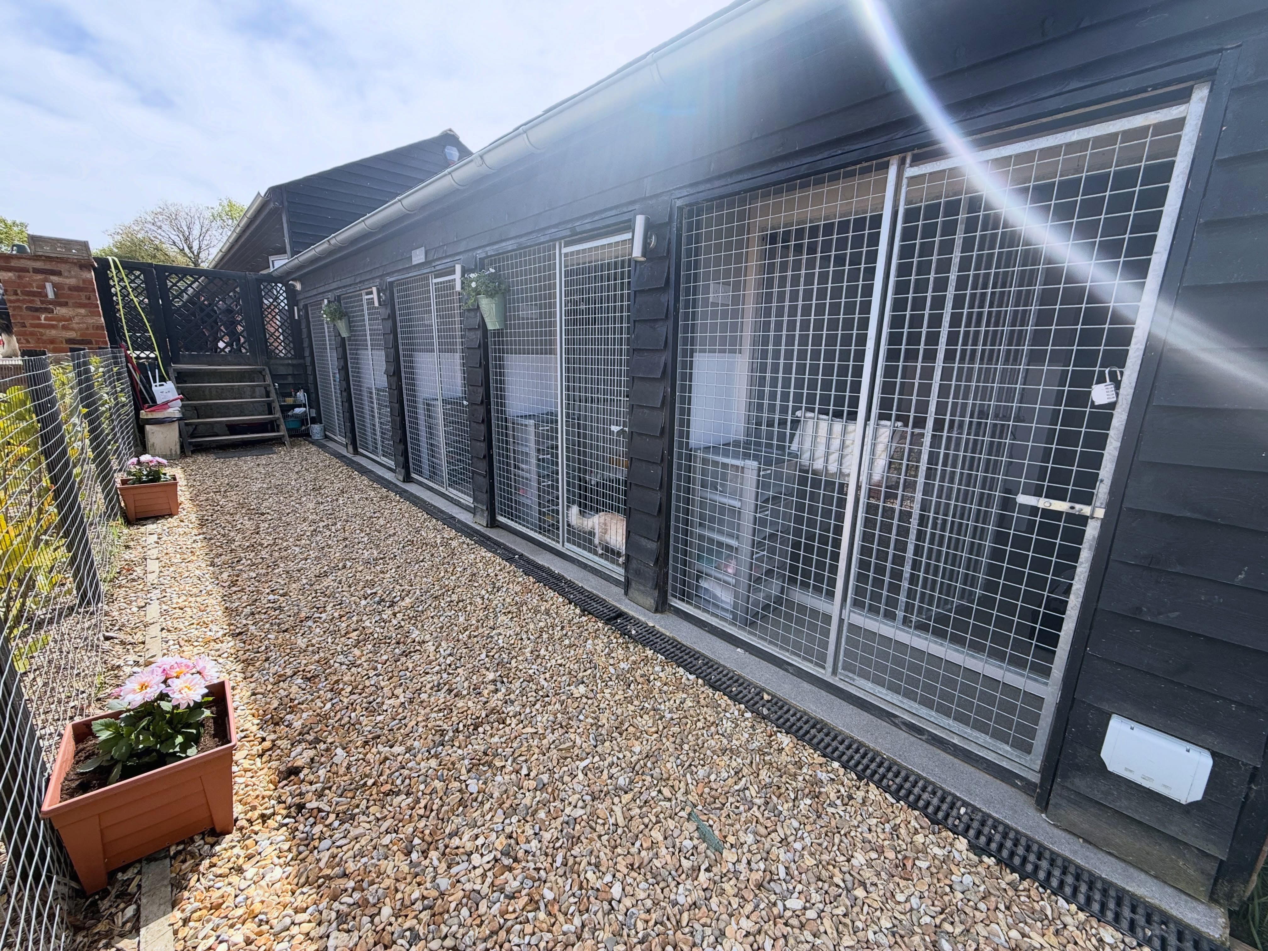 Our beautifully unique cat hotel ππͺ΄π· perfectly positioned on the farm, peaceful but no boring views here!
#springready #cathotel #5star #cats #holiday