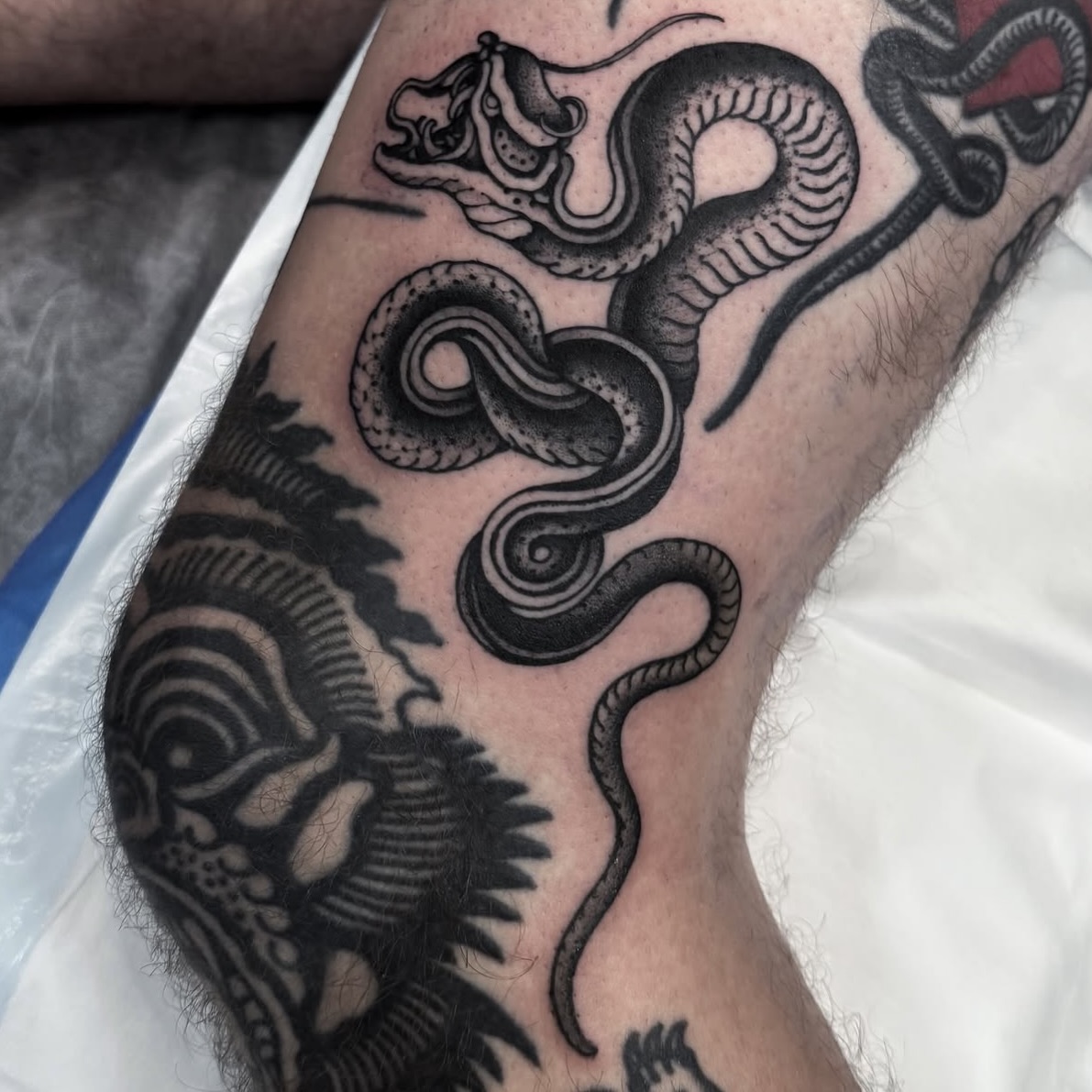 Appointments available with Devon
@_orbweaver
@_orbweaver
@_orbweaver