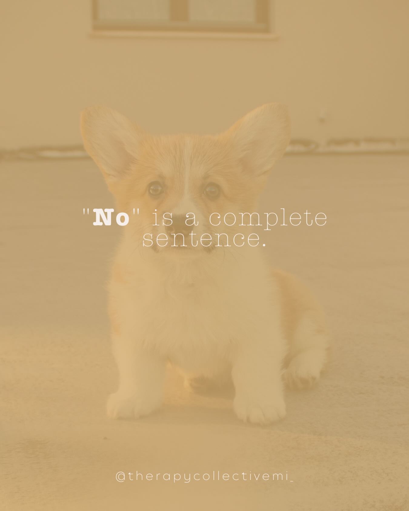 We were taught to soften it…
To explain it…
To apologize for it…
To follow it up with a reason convincing enough that no one would be upset with us. 🤍
But “no” doesn’t actually require a defense. Not for your time. Not for your energy. Not for the plans you don’t want to make, the favors you can’t take on, the conversations you’re not available for right now.
You’re allowed to decline without a paragraph. You’re allowed to disappoint someone in order to honor yourself. You’re allowed to let “no” be the whole answer.
-
-
-
-
#boundariesarehealthy #mentalhealthawarenessmonth #peoplepleasingrecovery #therapistsofinstagram #michigantherapy