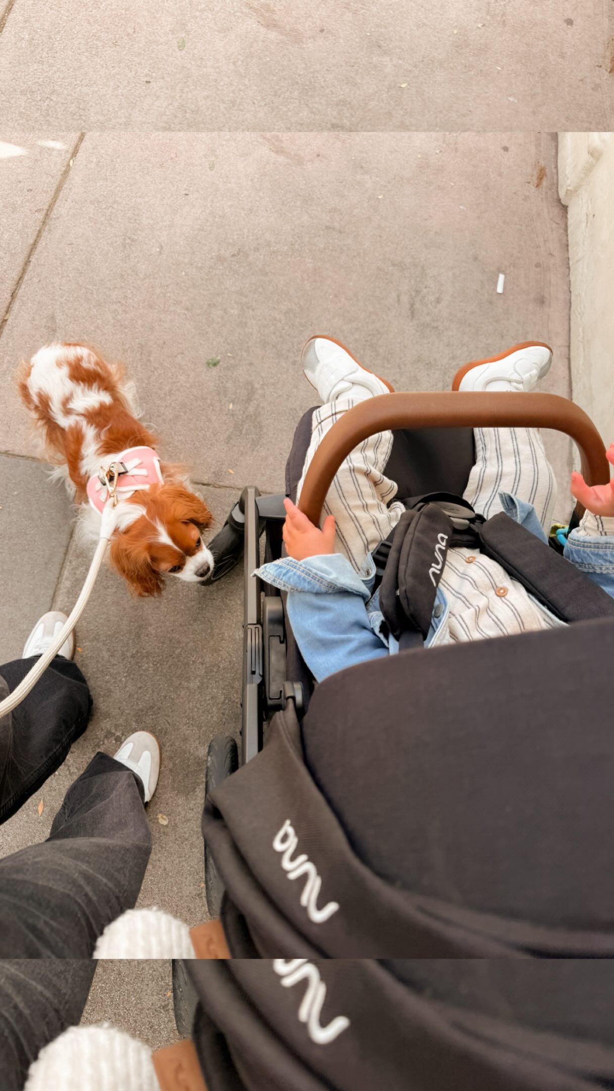 AirTag your stroller and diaper bag 🤦♀️ We drove off without it (mom brain is real). Didn’t notice for an HOUR. Went back… gone. I spiraled… Then someone saw us and said
they turned it into the police station 👮🙌
#newmomtips #postpartumlife #funnymoms #relatablemom #newparent