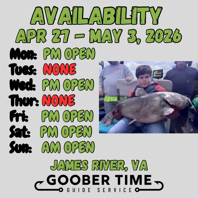 The countdown to the spawn is ON! ⏳🐟
The night catfish bite has been incredible lately, and if you’ve been waiting for a shot at a trophy Blue, this is the week to do it. Once they move to spawn, the big ones get a lot harder to find—don’t miss out!
Available Dates:
🌕 Fri Night (4/27) | Night Catfish
🌕 Sat Night (4/28) | Night Catfish
☀️ Sun Morning (4/29) | Multi-species Trolling
River Adventures:
Looking to get closer to the water? We’re running Flathead and Smallmouth trips via:
🚣♂️ Kayak & Paddleboard
🛶 Raft & Canoe
The multi-species trolling is at a PEAK bite right now. Let’s get you on the water before the summer transition!
Tap the link in bio to book! 🔗
#Catfishing #TrophyBlueCat #FlatheadCatfish #SmallmouthBass #RiverFishing FishingCharter NightFishing VirginiaFishing